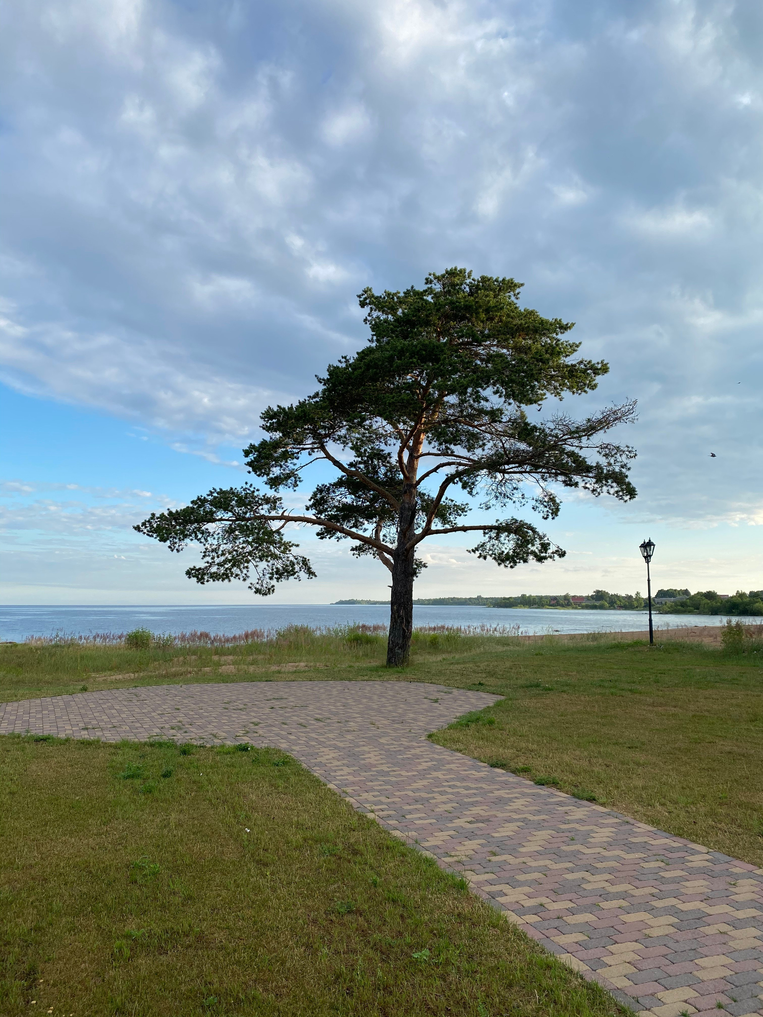 Териберка — 20. Своя Мастерская