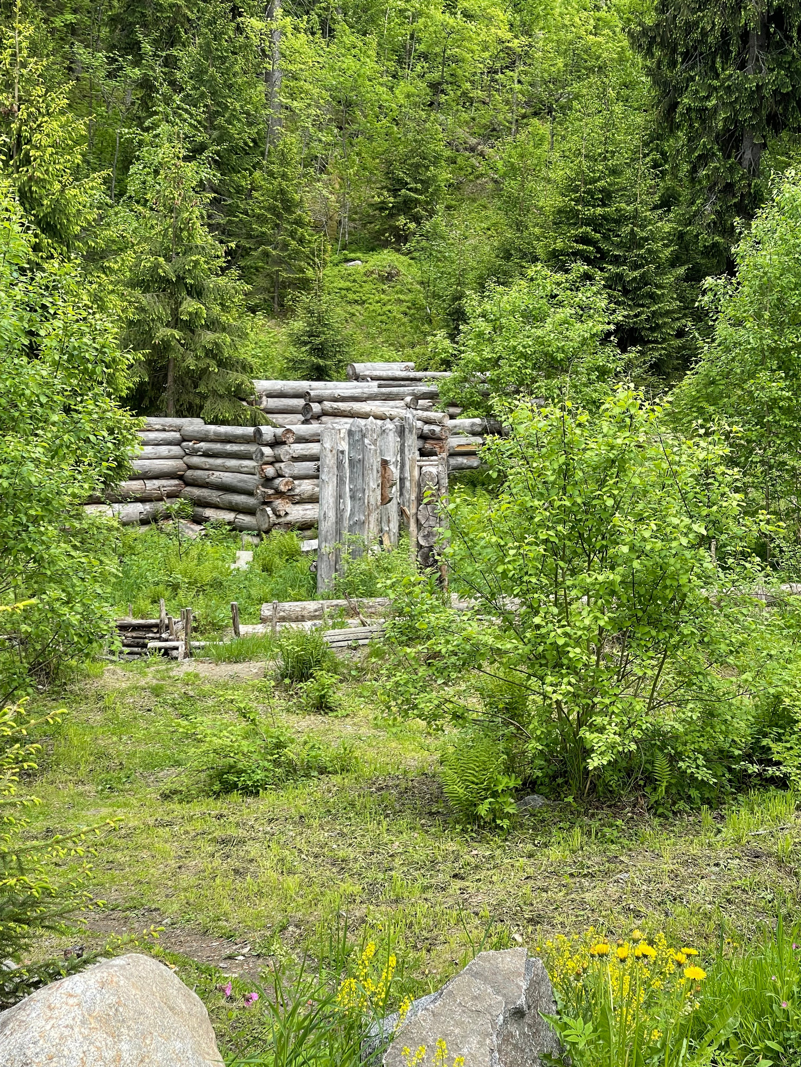 Ладога Трофи. Своя Мастерская