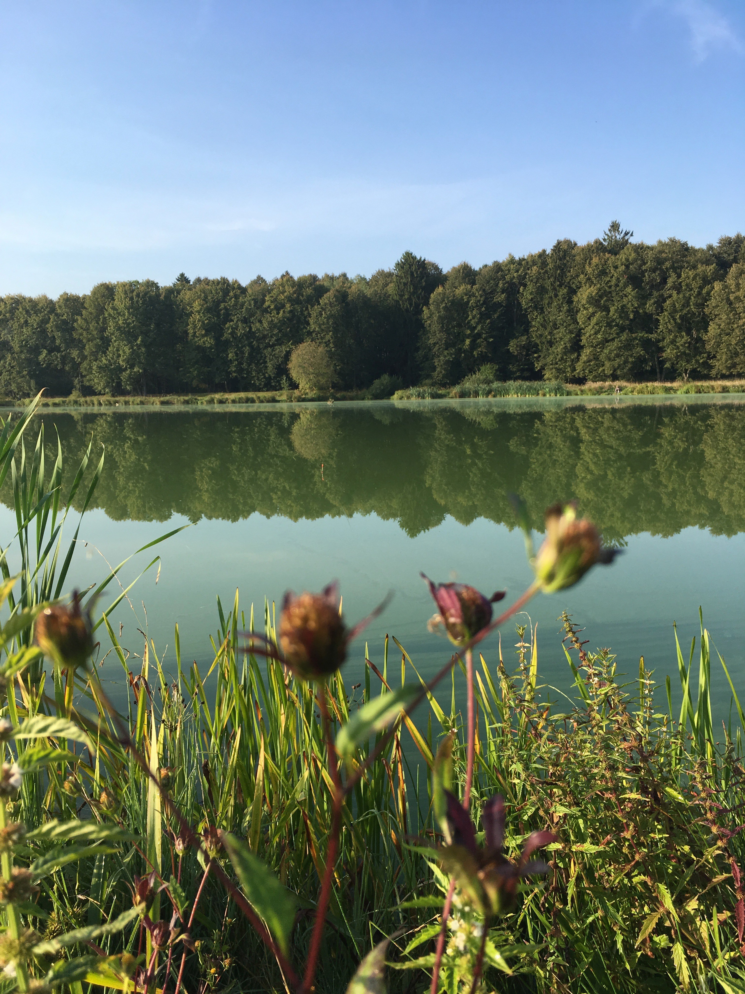 Молоди-19. Своя Мастерская