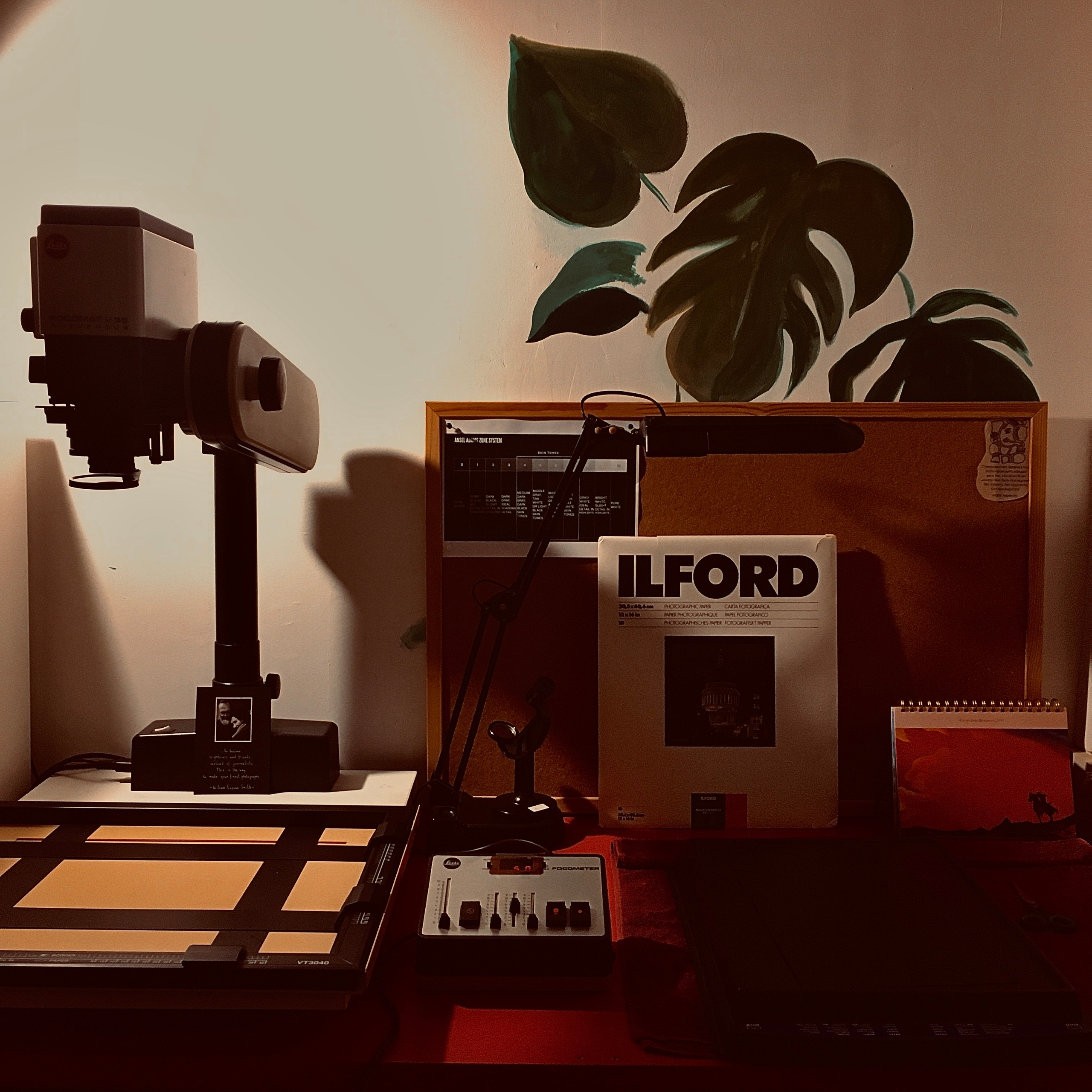 Жизнь. Игорь Гичка. Портрет с любовью