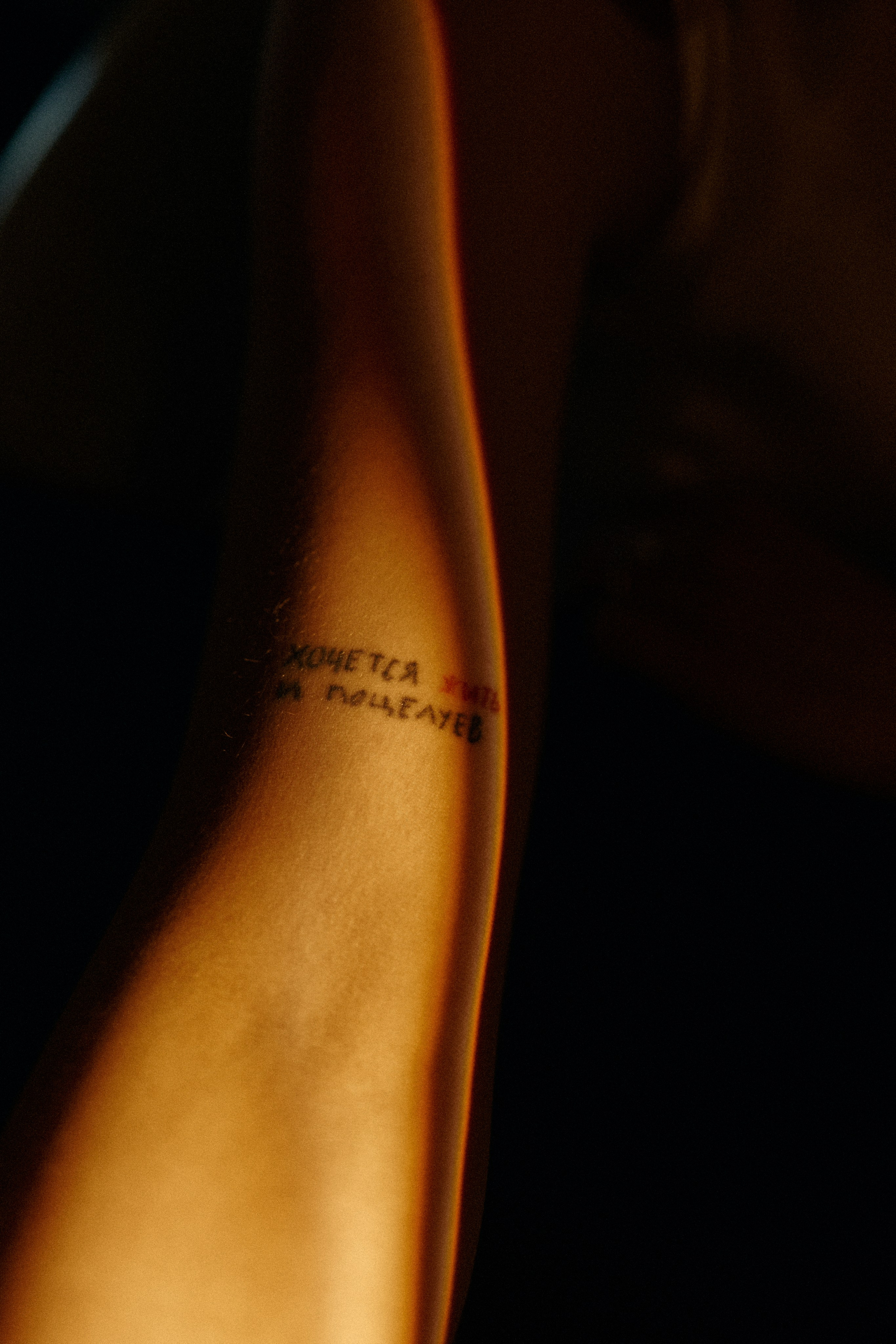 Фотограф Дмитрий Богданов