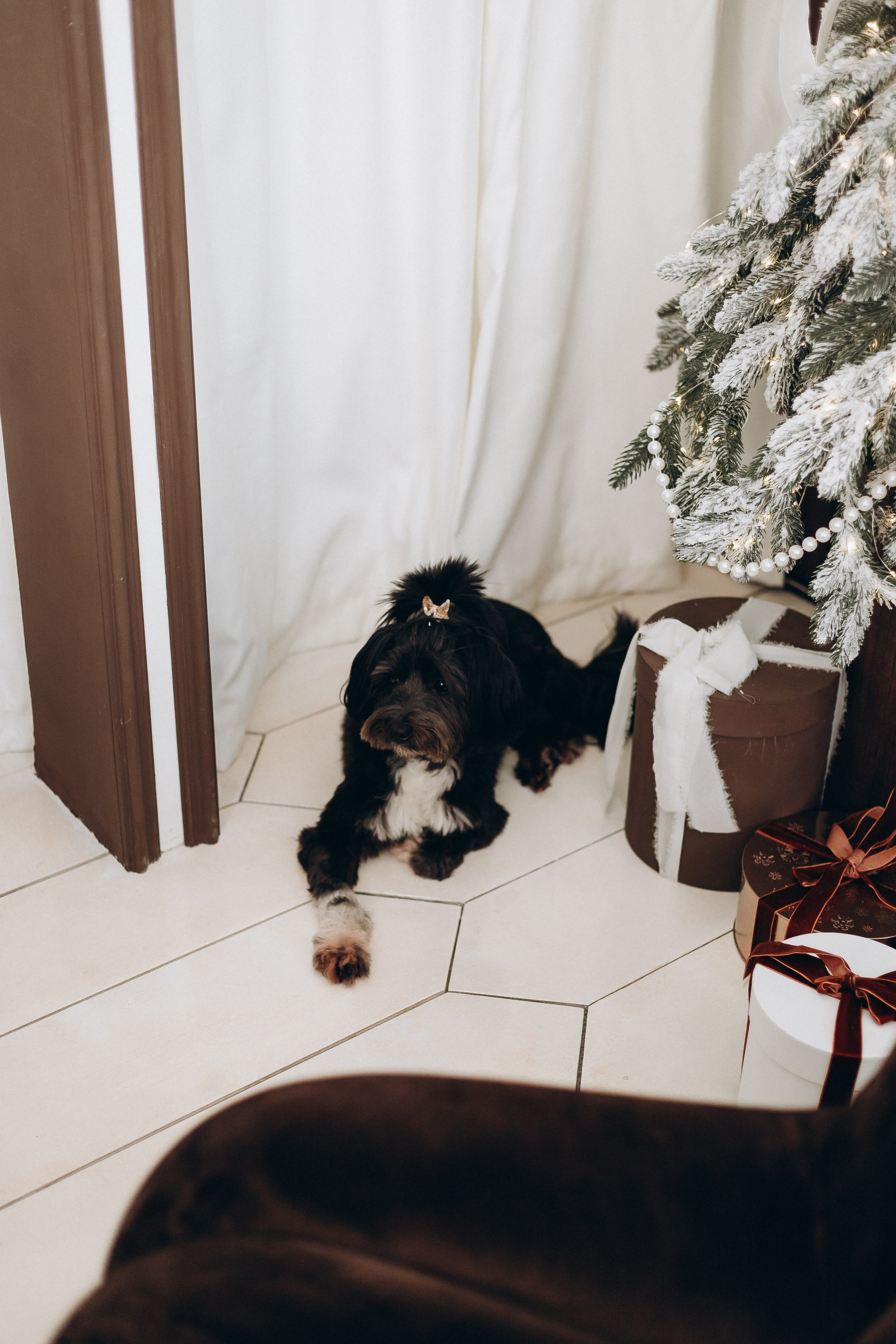 Даша/Саша/Алиса/2024. Свадебный и семейный фотограф в Екатеринбурге