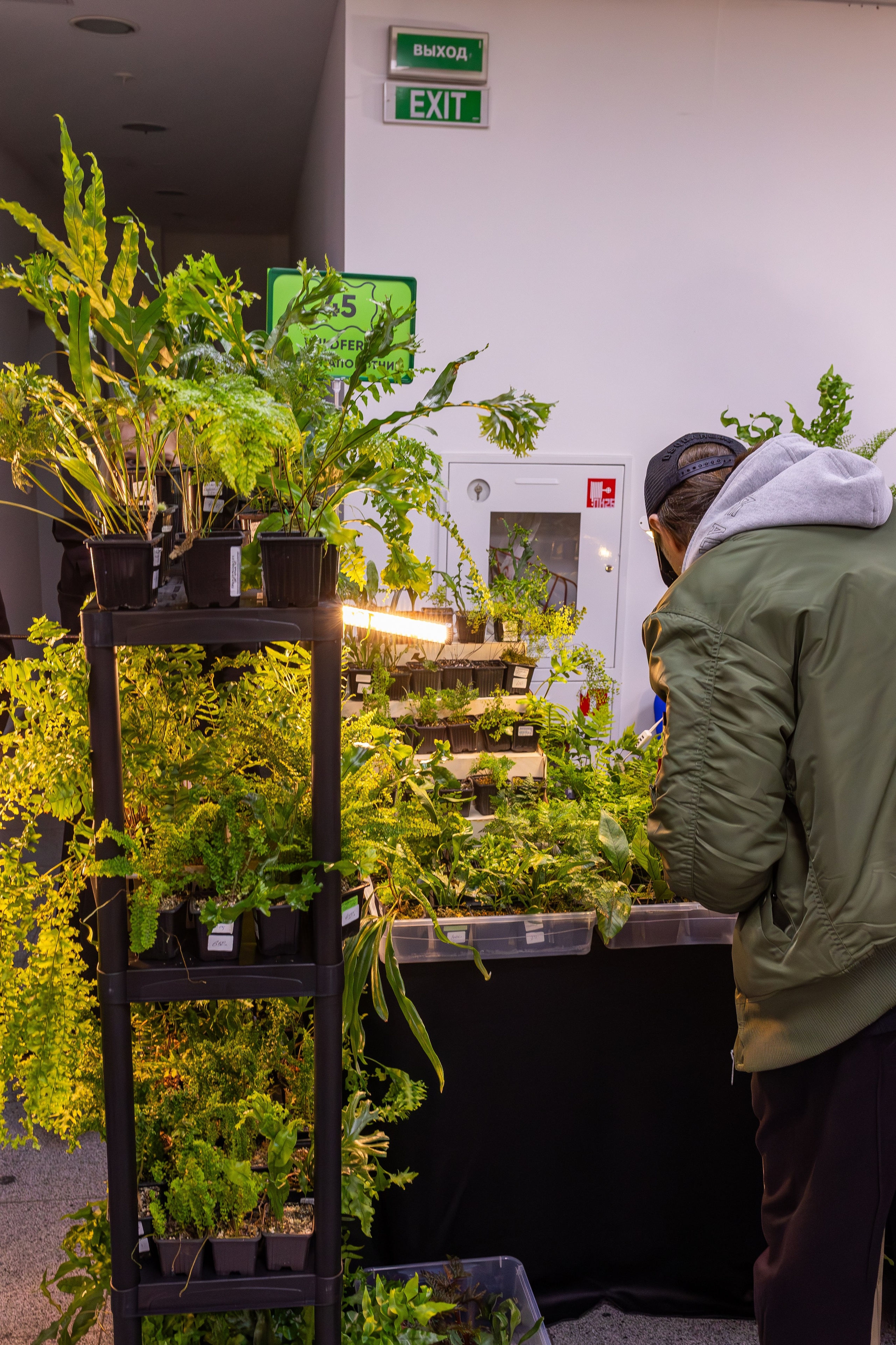 Монстериум апрель 2025. Александра Куликова фотограф, Москва