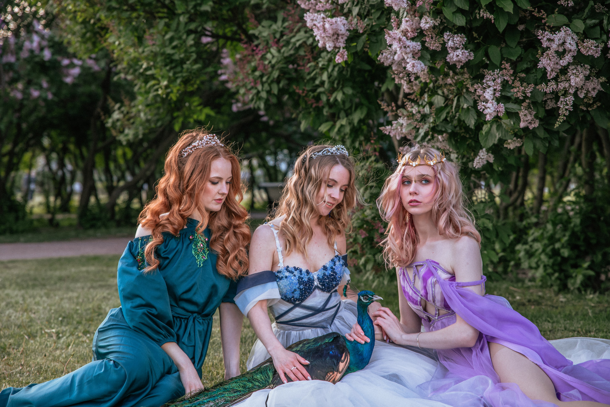 Павлин. Elena Sova — семейный и женский фотограф в Санкт-Петербурге