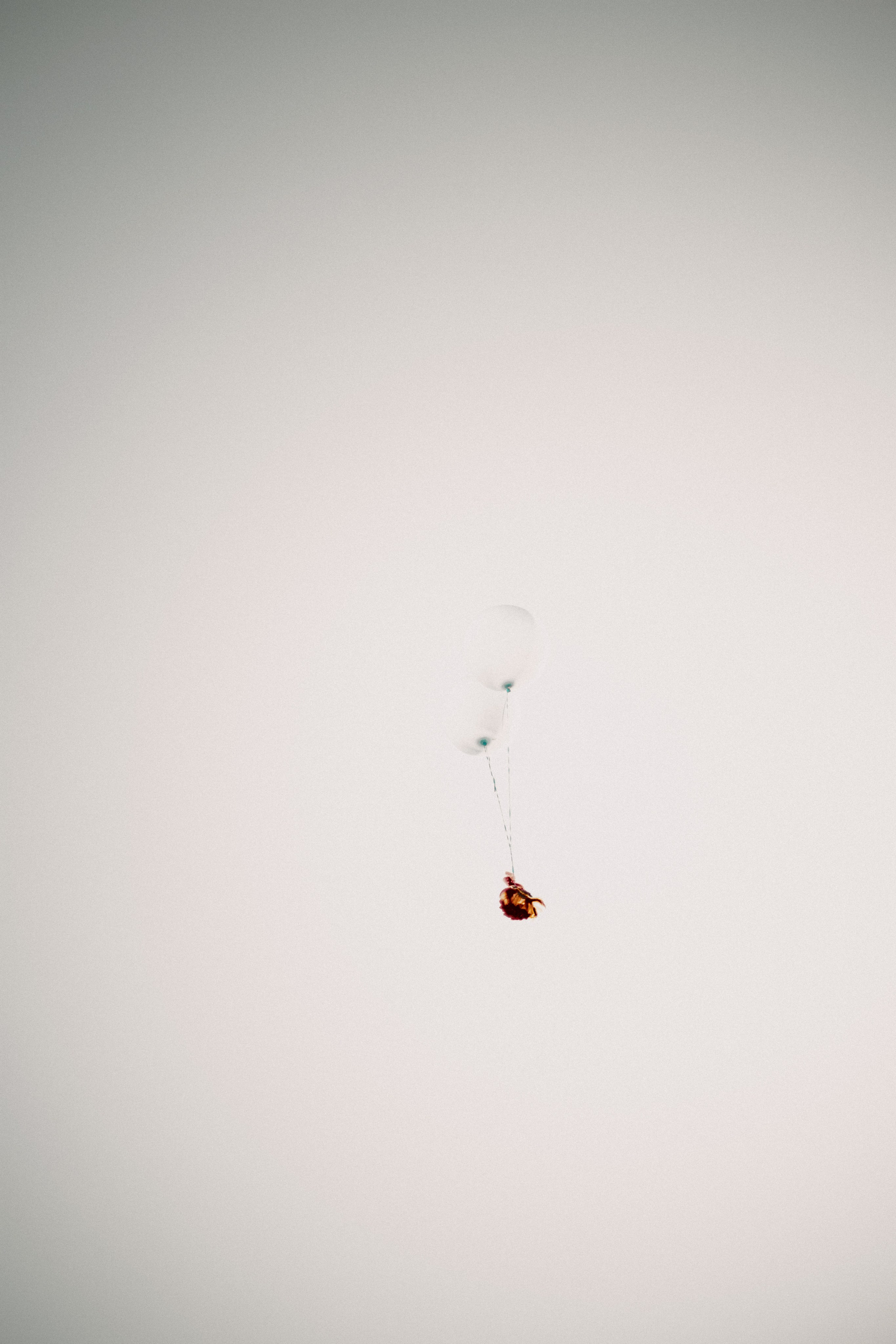 Спектакль «Куриное кабаре» от Свободного молодежного театра | Тобольск. Арт-фотограф Крис Л. в Тобольске: портрет, семейные, свадьбы