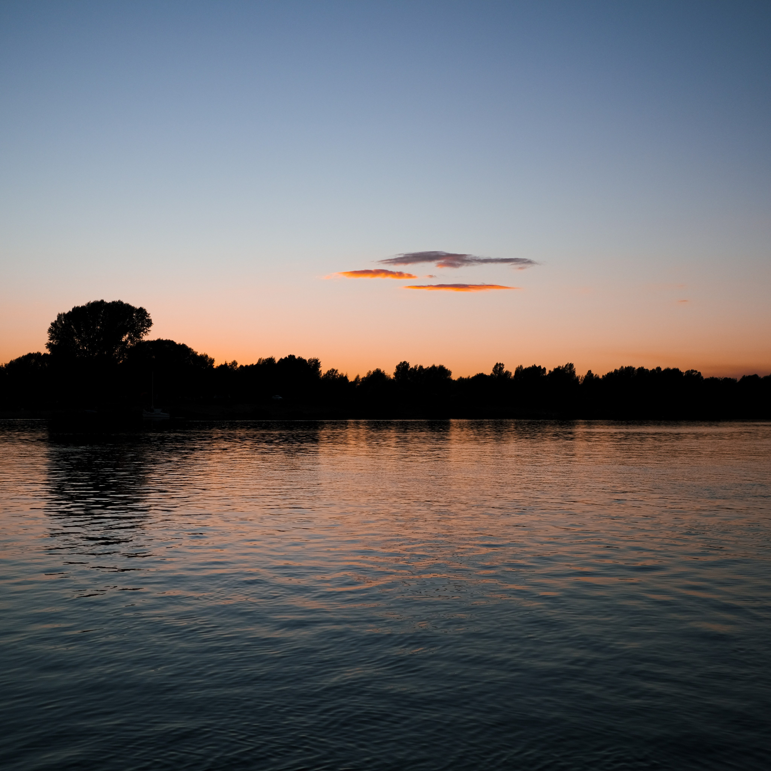 Эко-фестиваль АртЛуга 2022. LIYALEE PHOTO