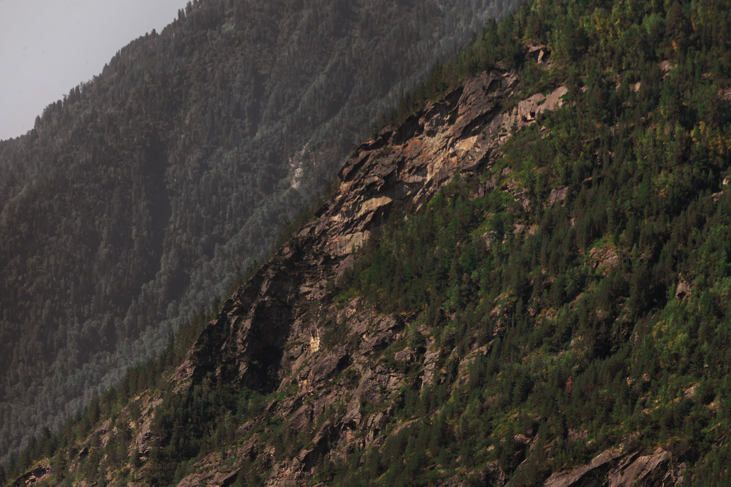 АЛТАЙ 2024 / ALTAI 2024. Главная