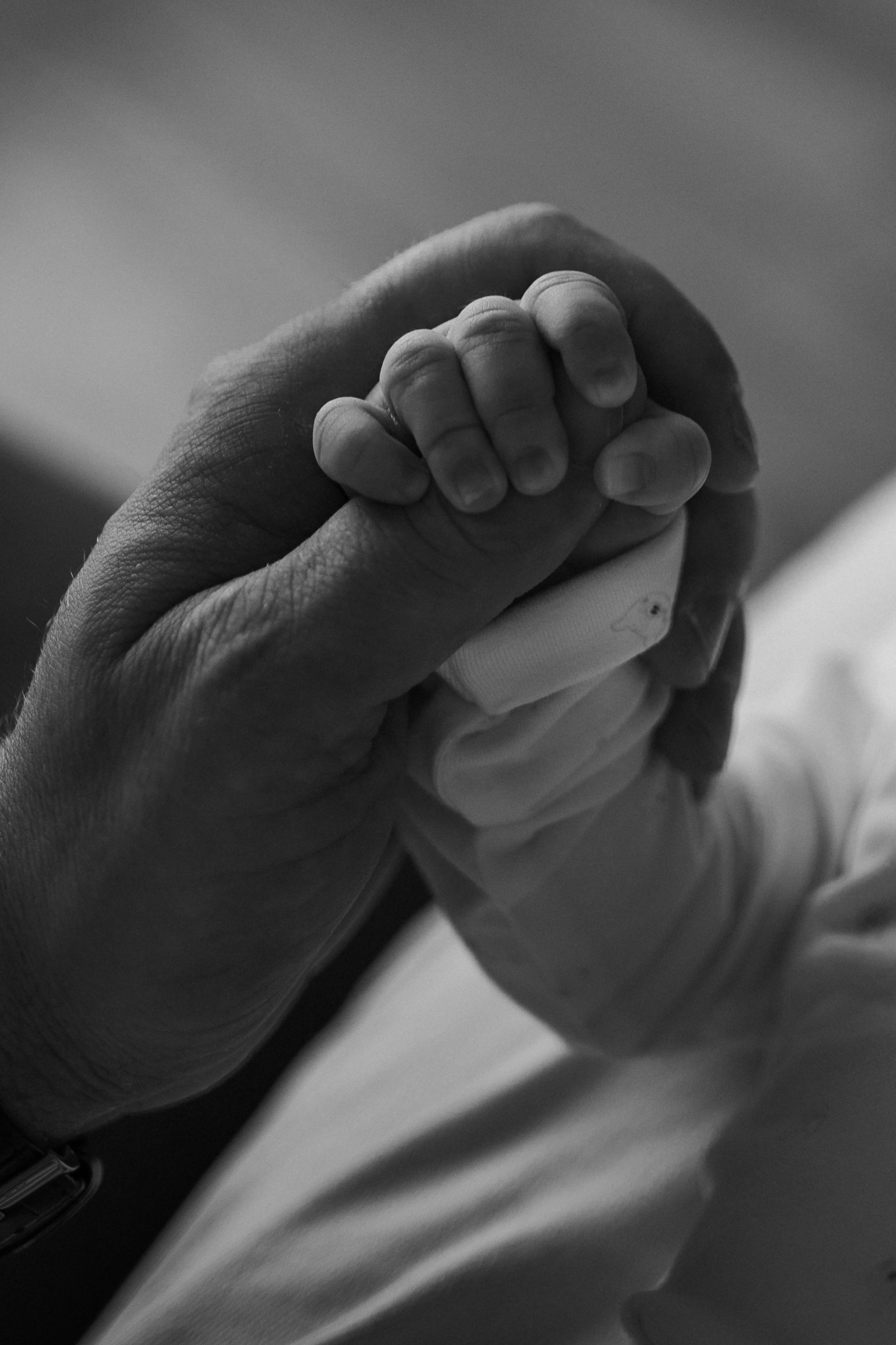 Наташа, Сергей, Мирон и Лукерья. Photograph Svetlana Volkova