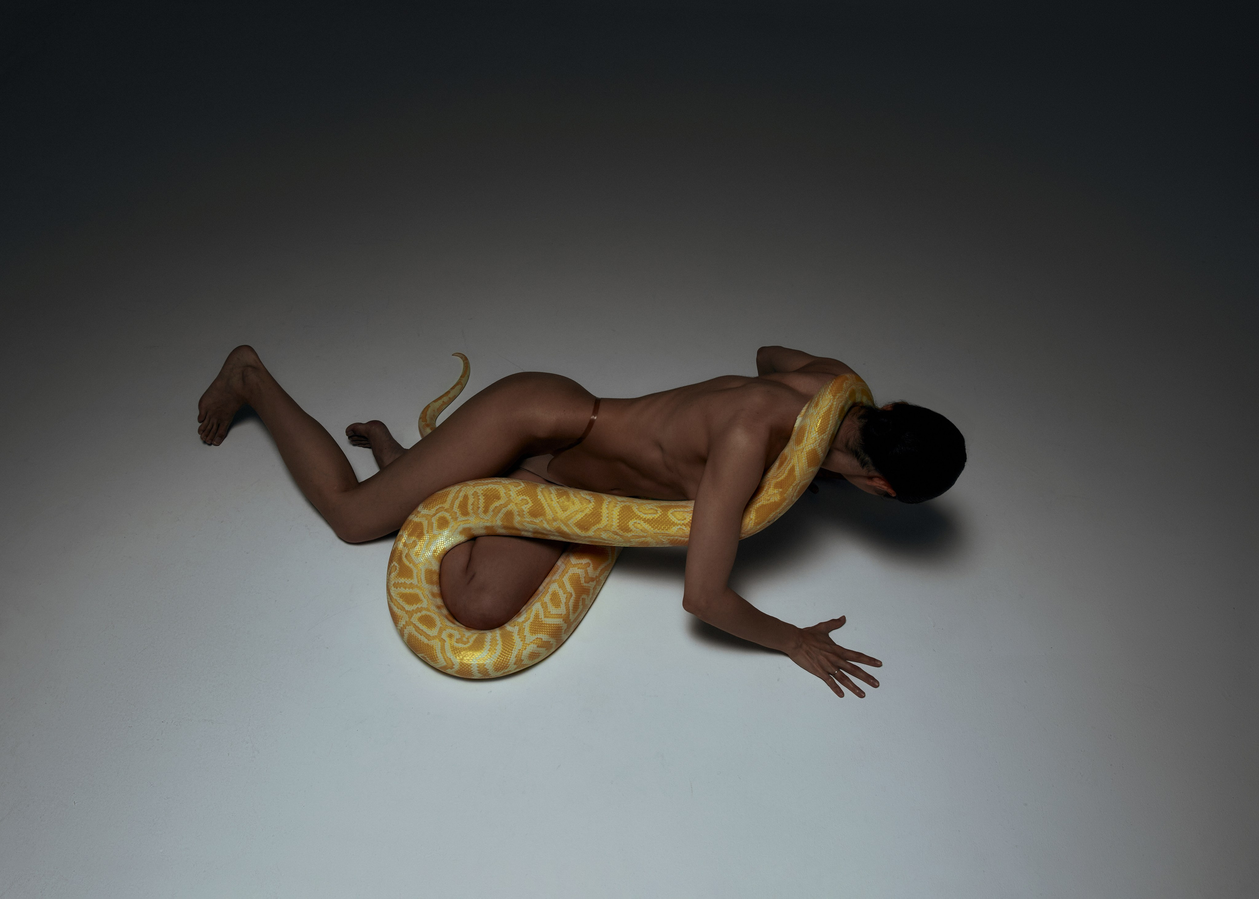 Арт проекты. Sfotau.ru