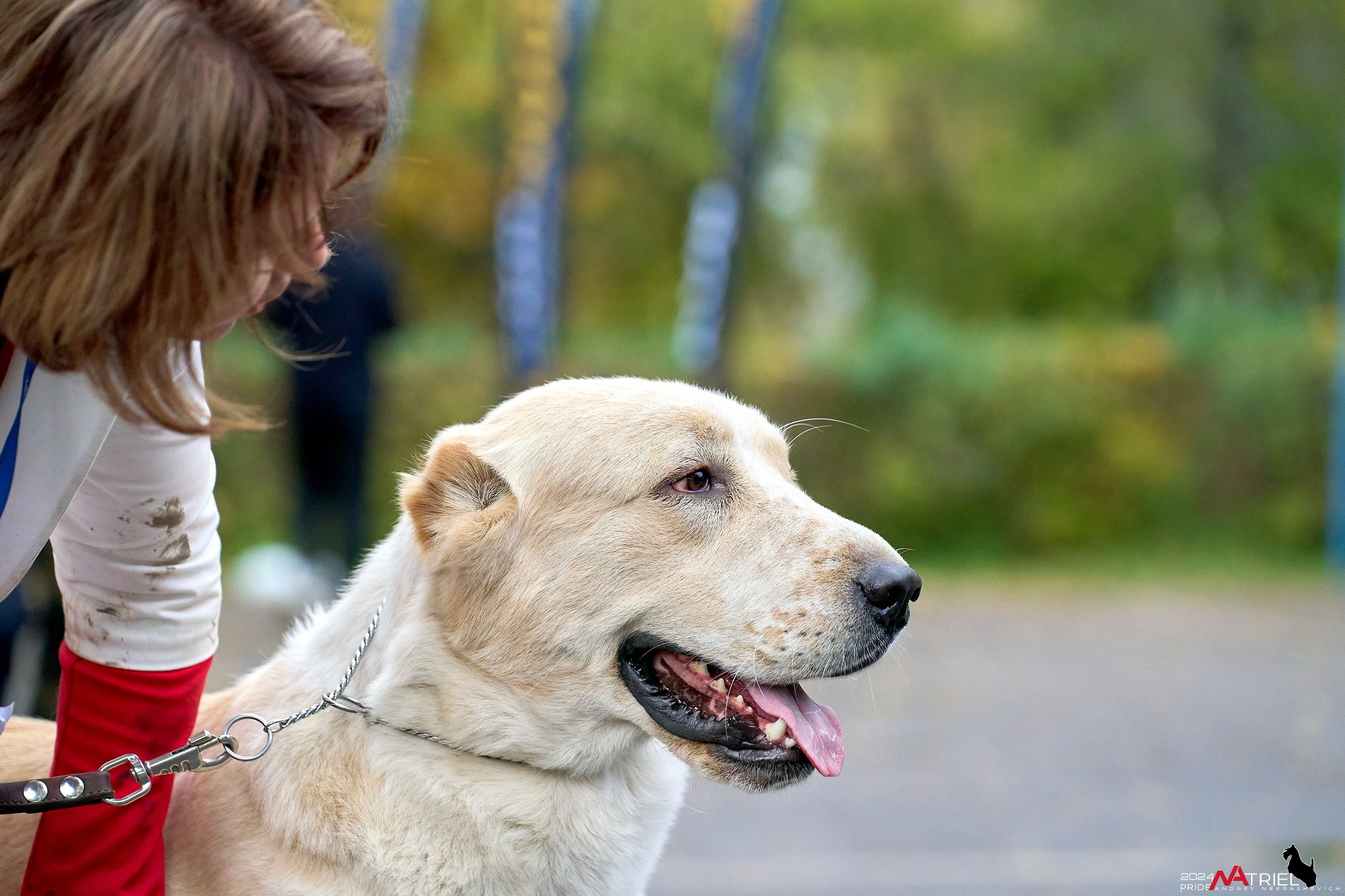 Съемка на выставке САО в Александров