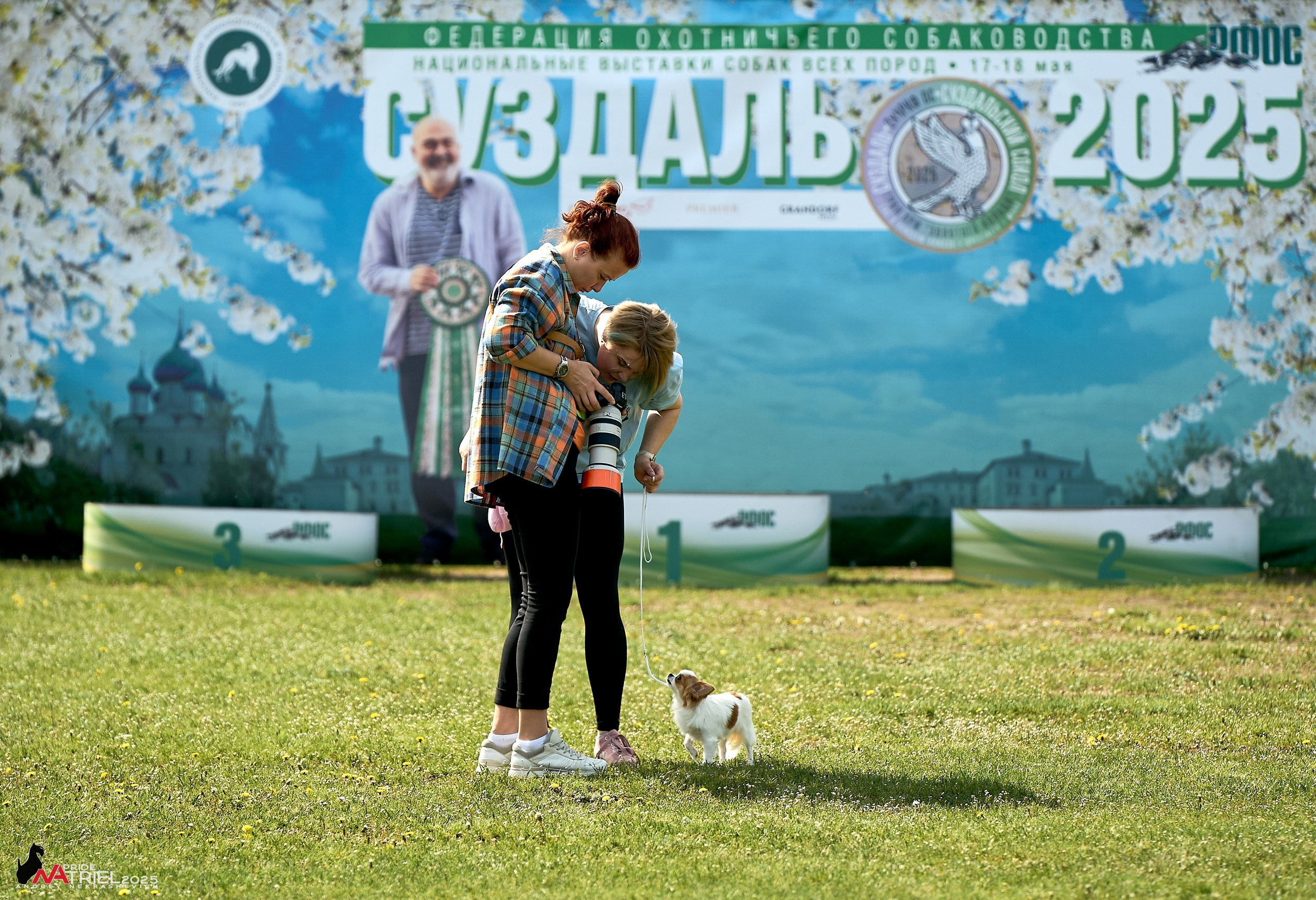 Выставка собак Суздаль-Владимир