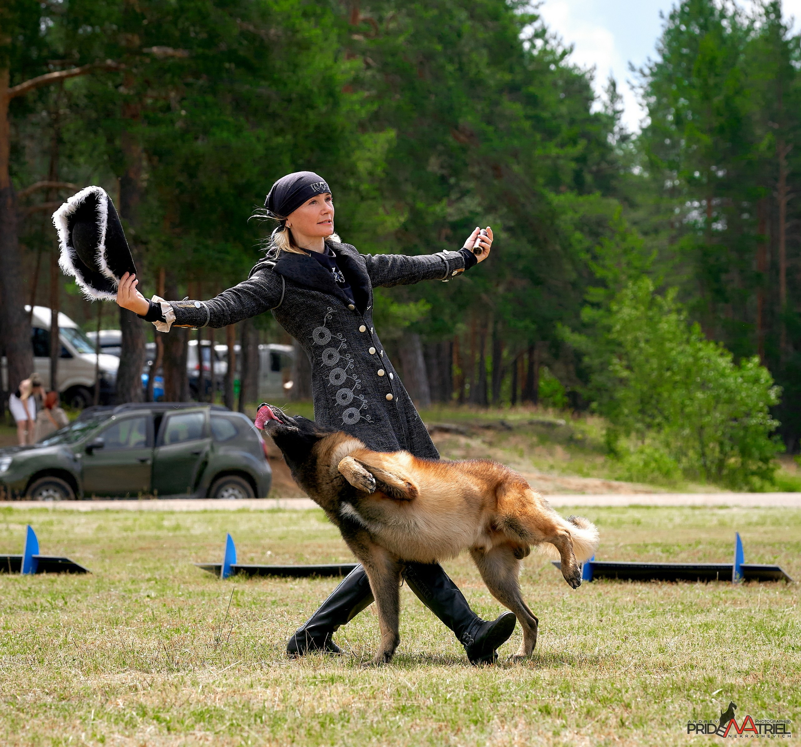 Обидиенс и танцы с собаками — галерея NATRIEL