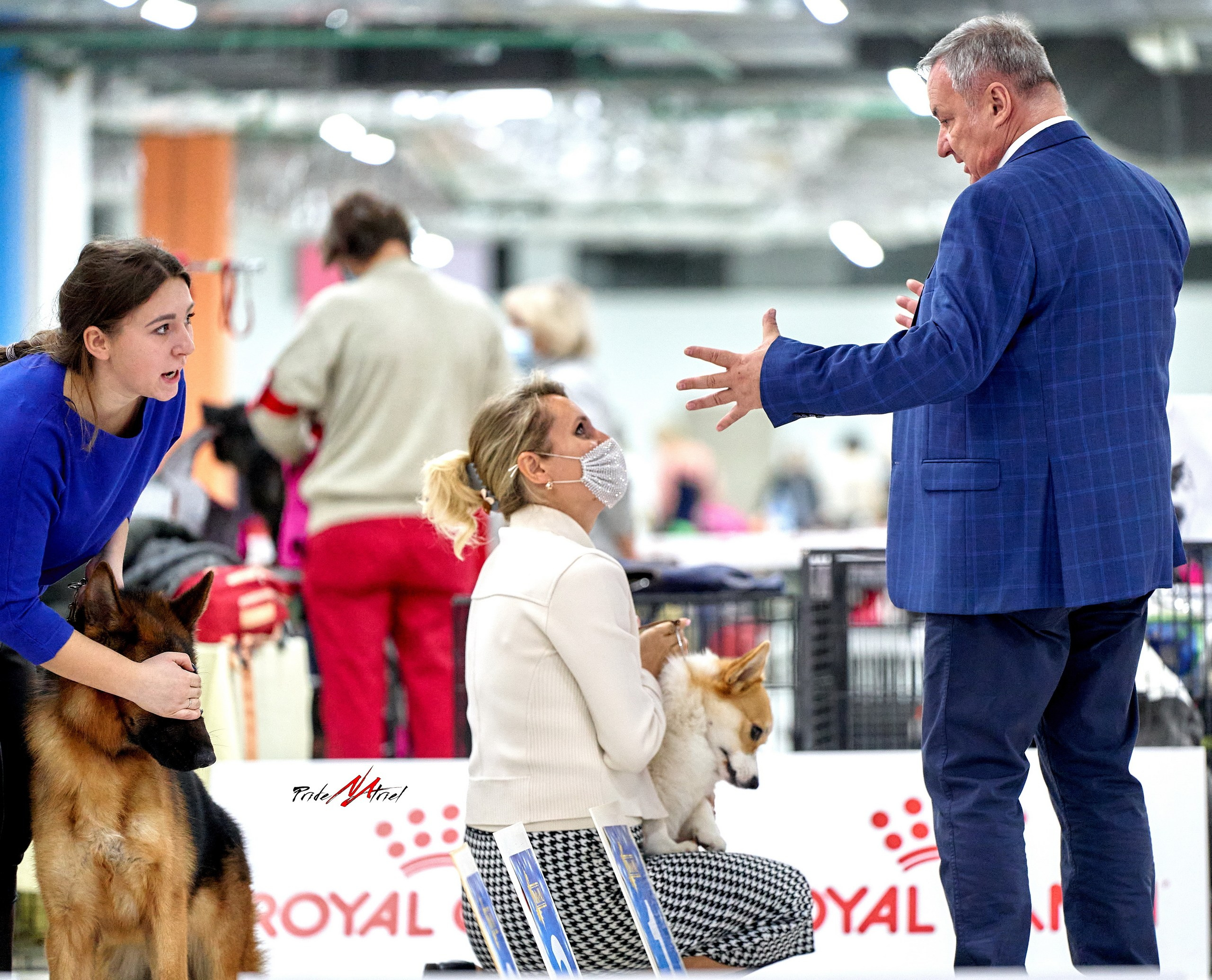 Работа в рингах — галерея NATRIEL