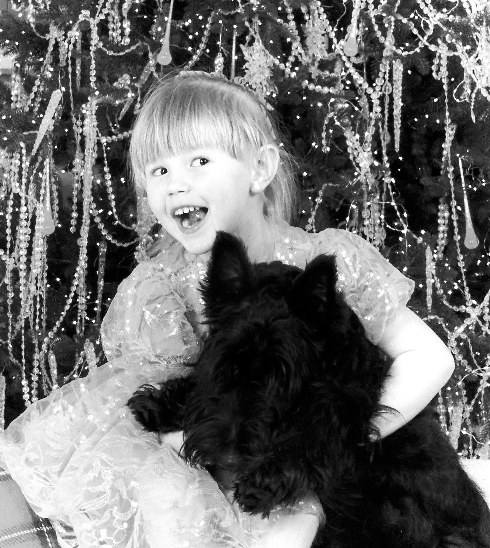 Семейная съемка с собаками в студии