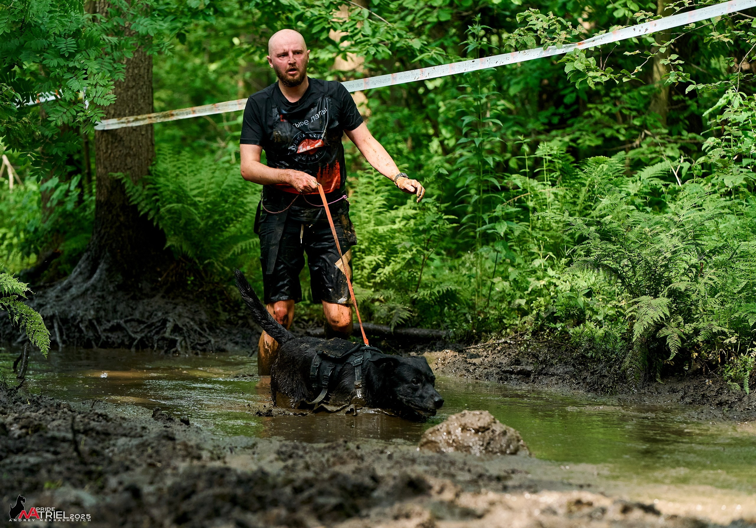 Russian Extreme Dog Trail — 2025