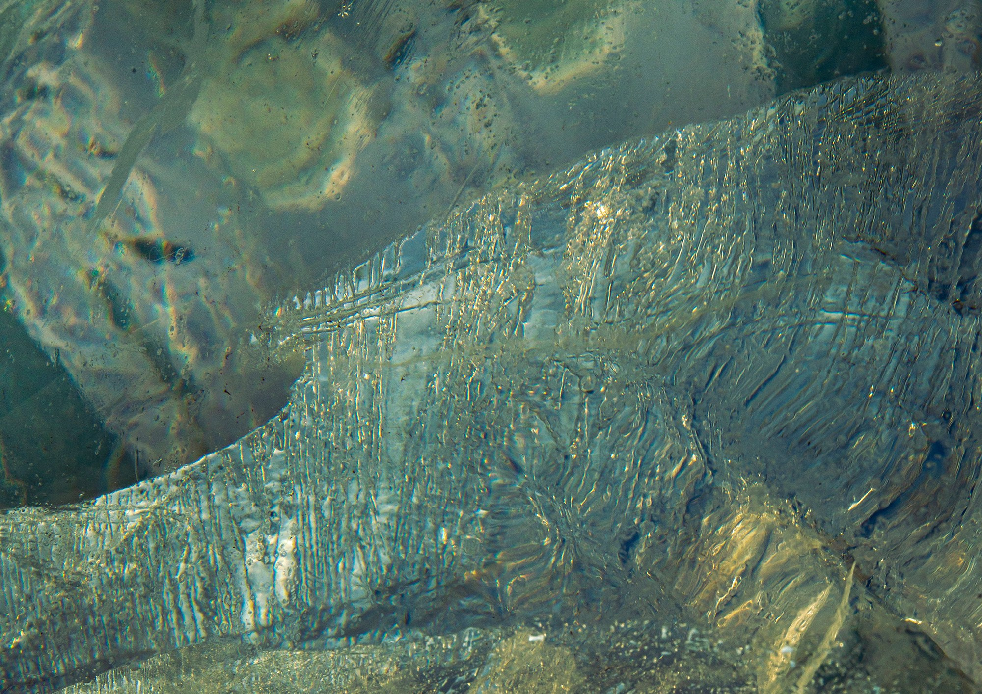 «Мы здесь». Фотограф Переверзева Наталья / Ханты-Мансийск