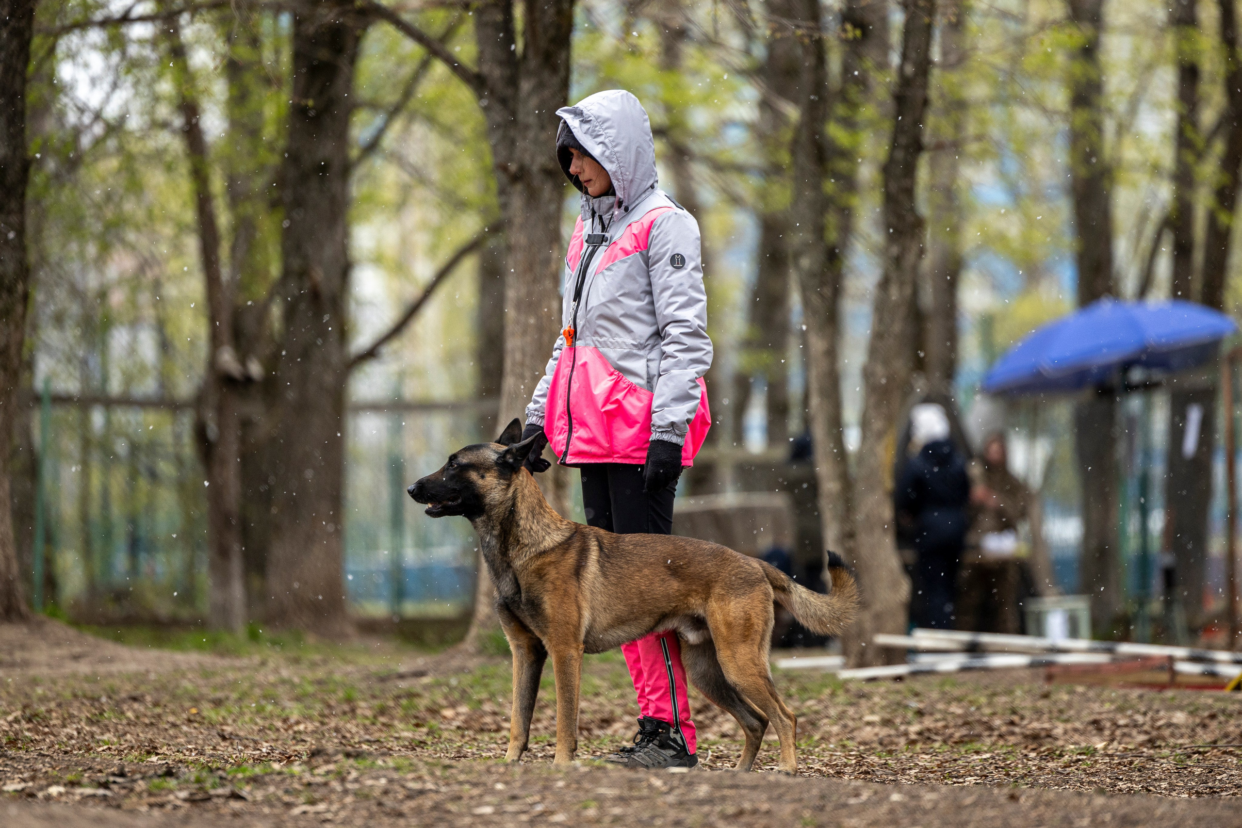 Квалификационные состязания по мондьорингу г. Вологда 11.05.24. Фотограф-анималист Анна Маринич