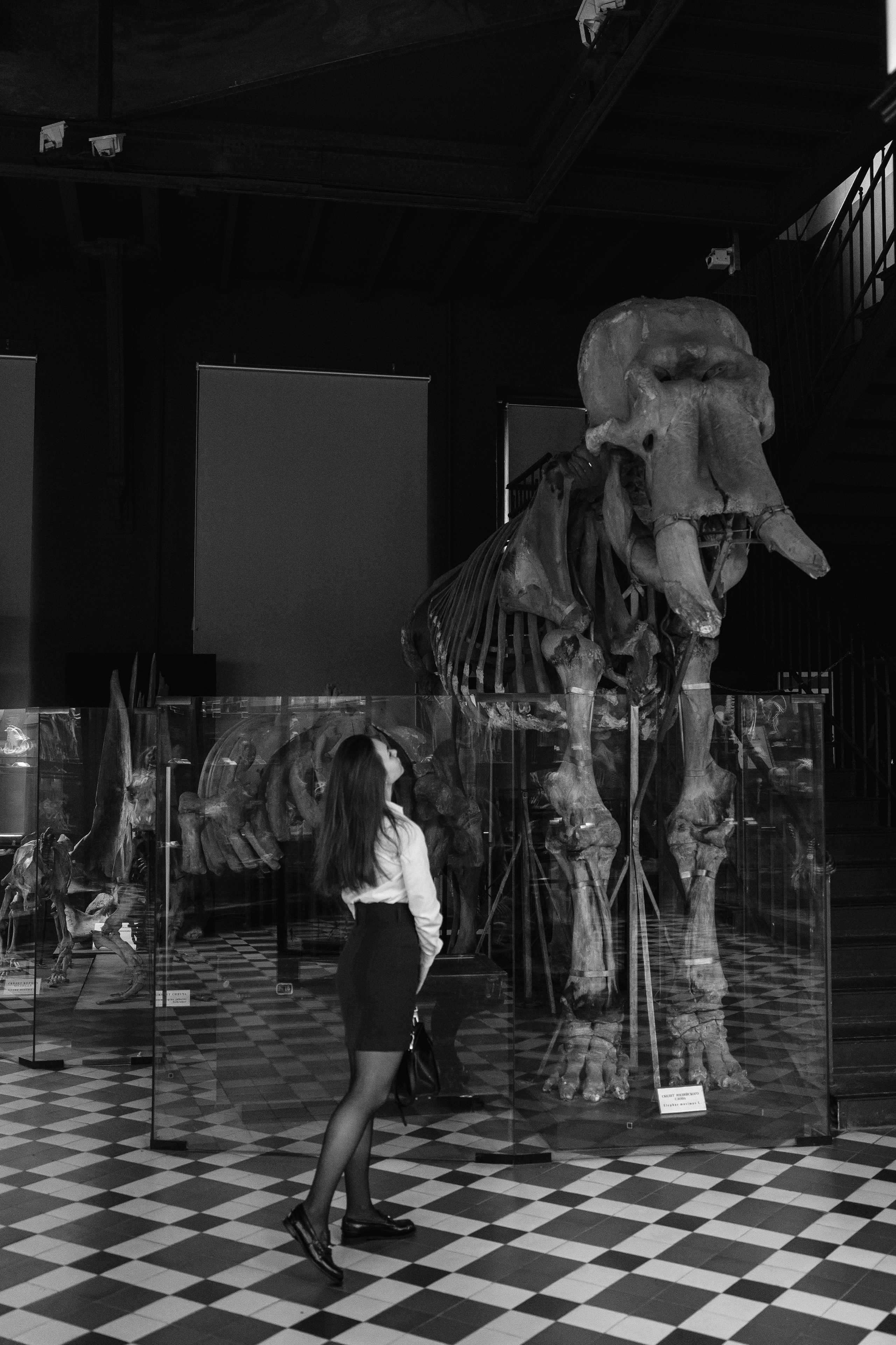 Марьяна. Фотограф в Москве Казакова Анна