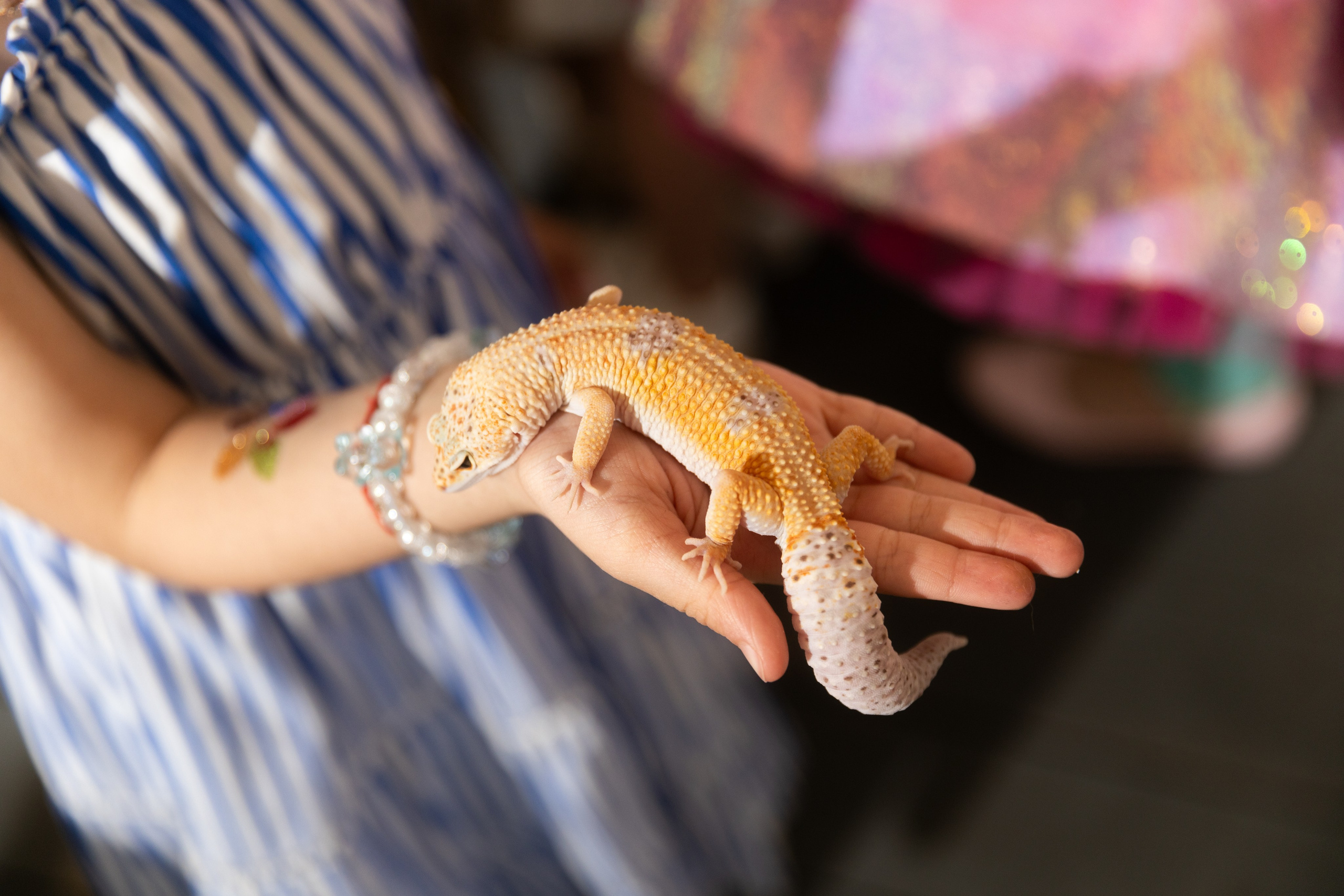 Оливия, 5 лет, Новорижскяа застава. Свадебный фотограф | Москва