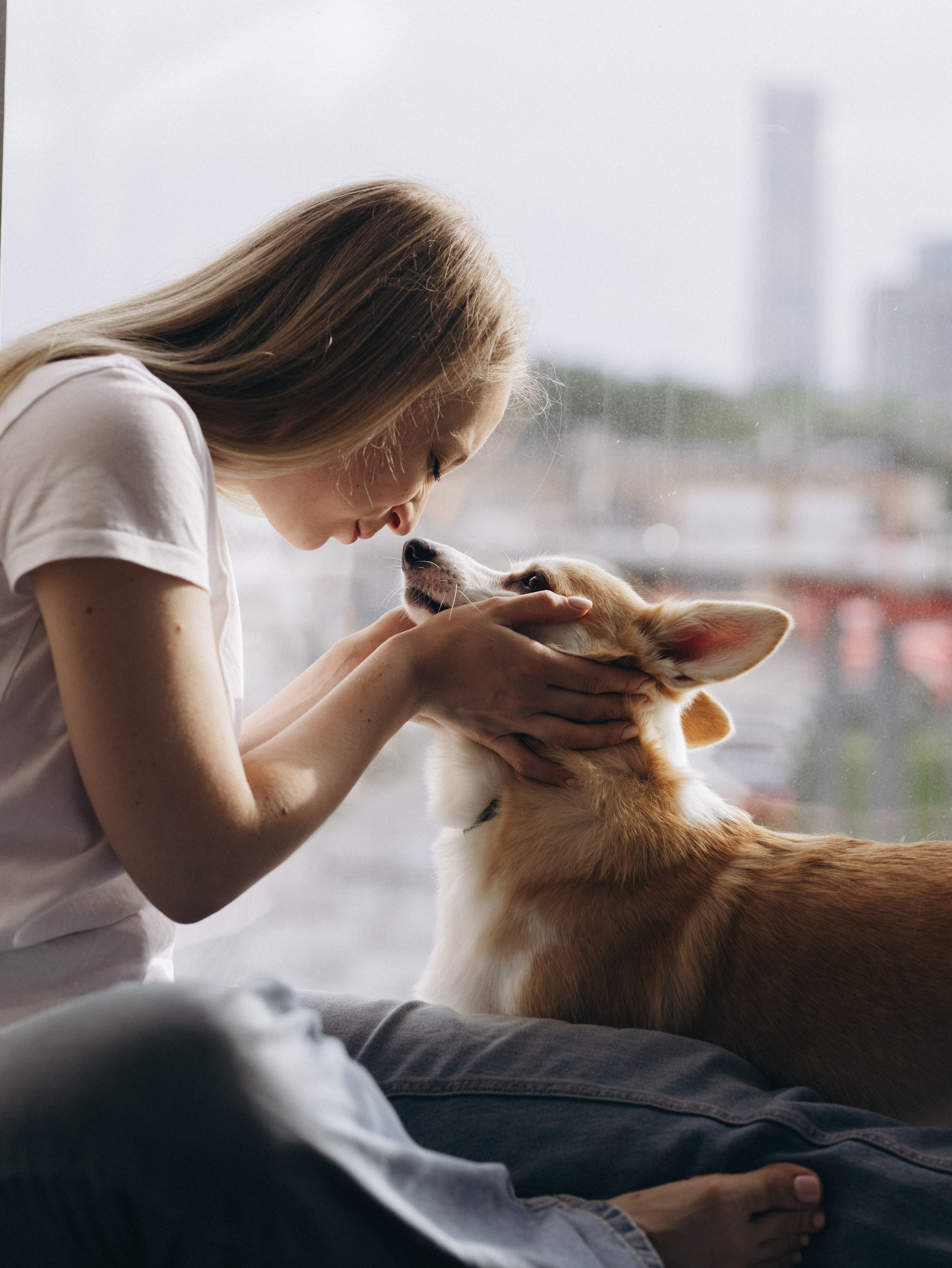 Оливка и Ника. Фотограф-анималист в Москве Кириллова Татьяна