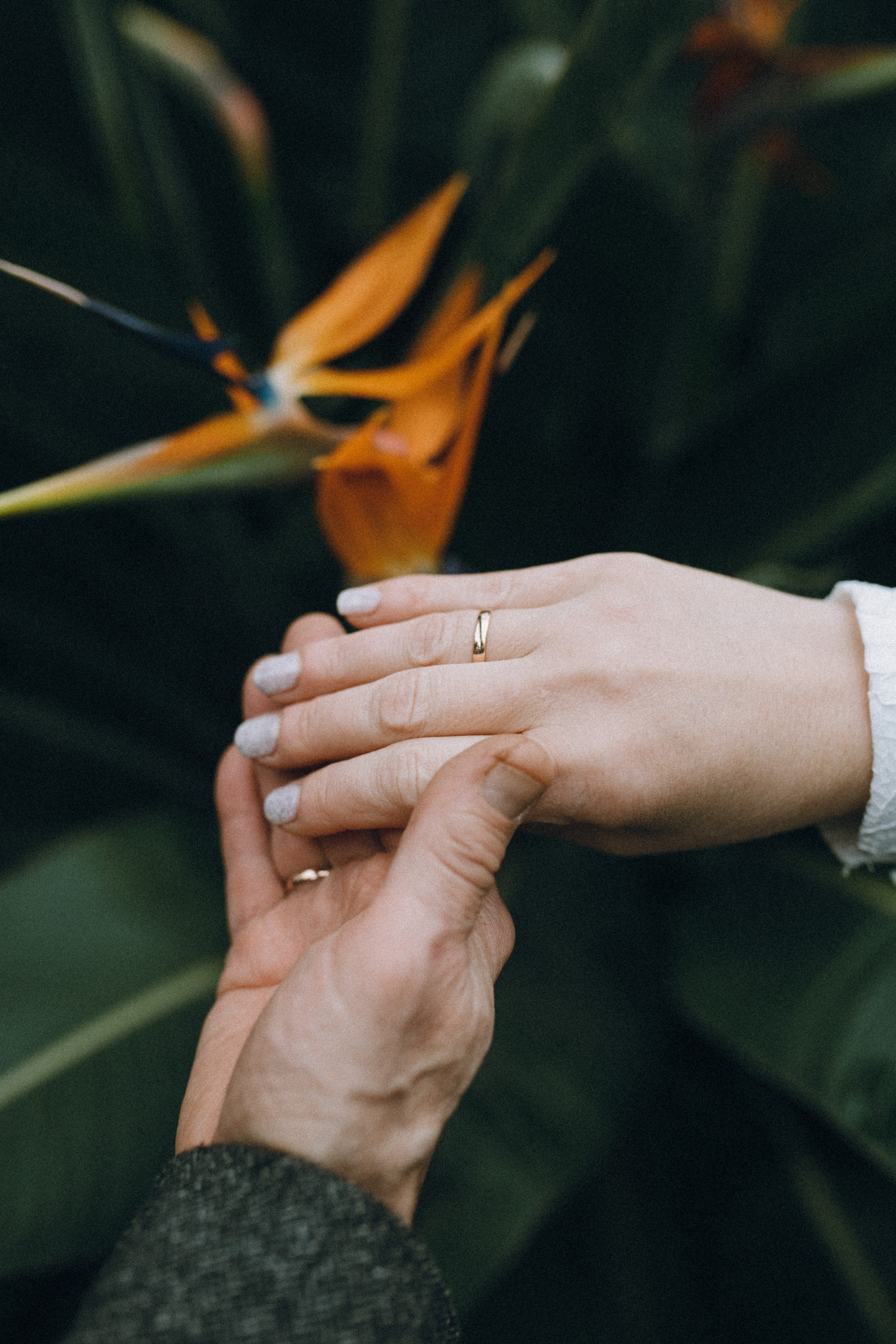 Свадебная съемка. Фотограф в Санкт-Петербурге Шура Капустина