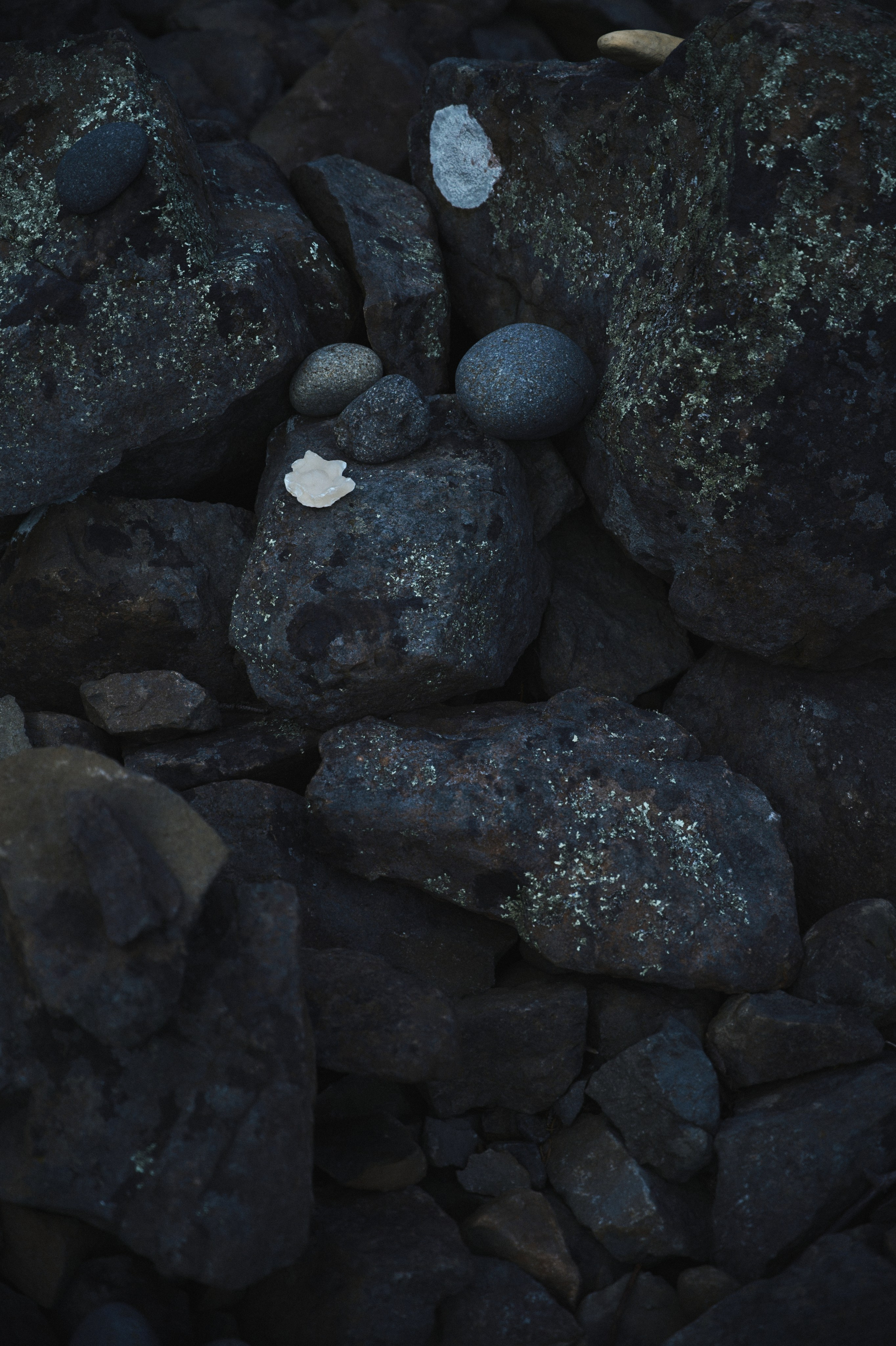 BAON x SAKHALIN. Фотограф Сурков Никита