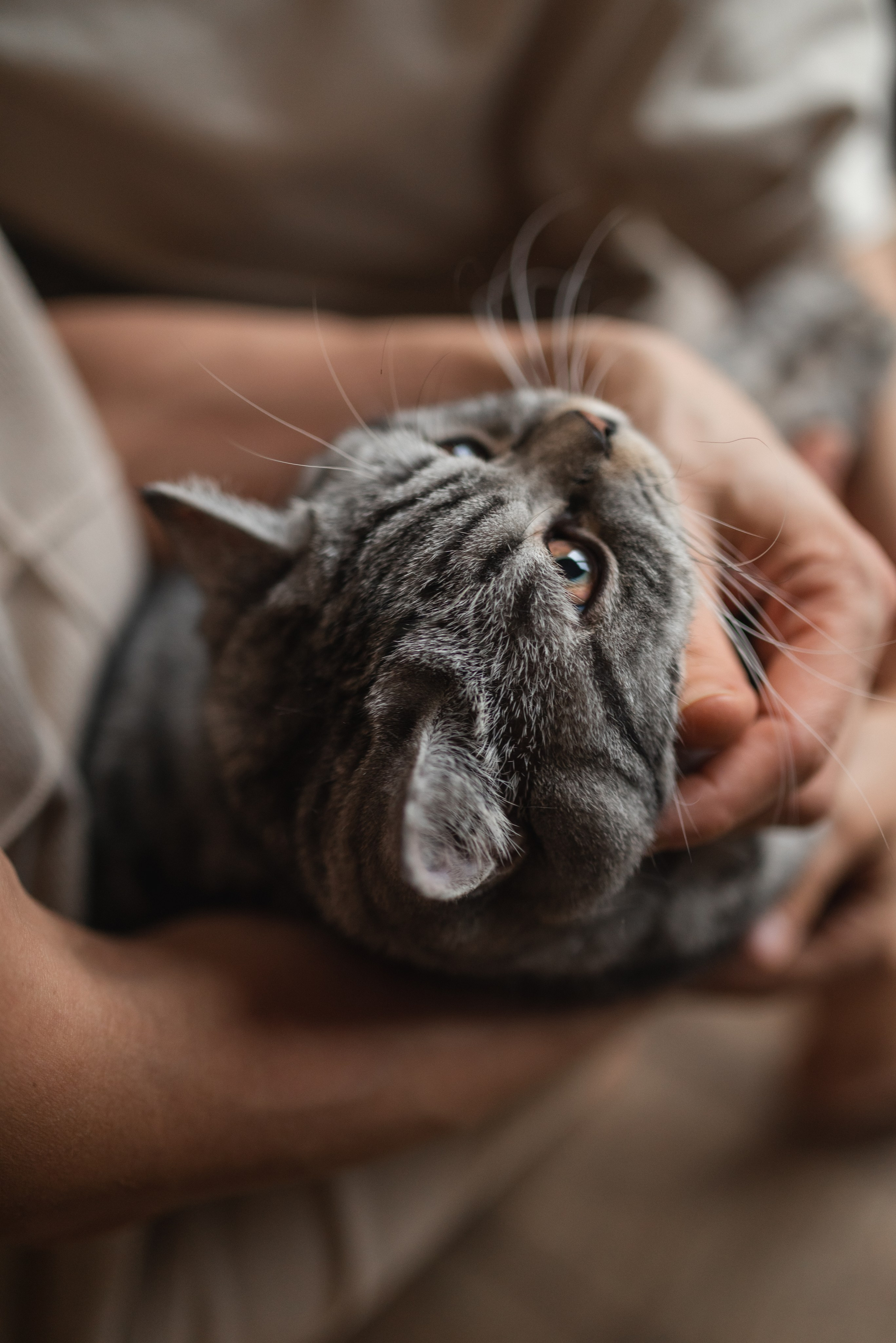 Оксана Сергей Ваня и Егор. Семейный фотограф Ирина Сгибнева