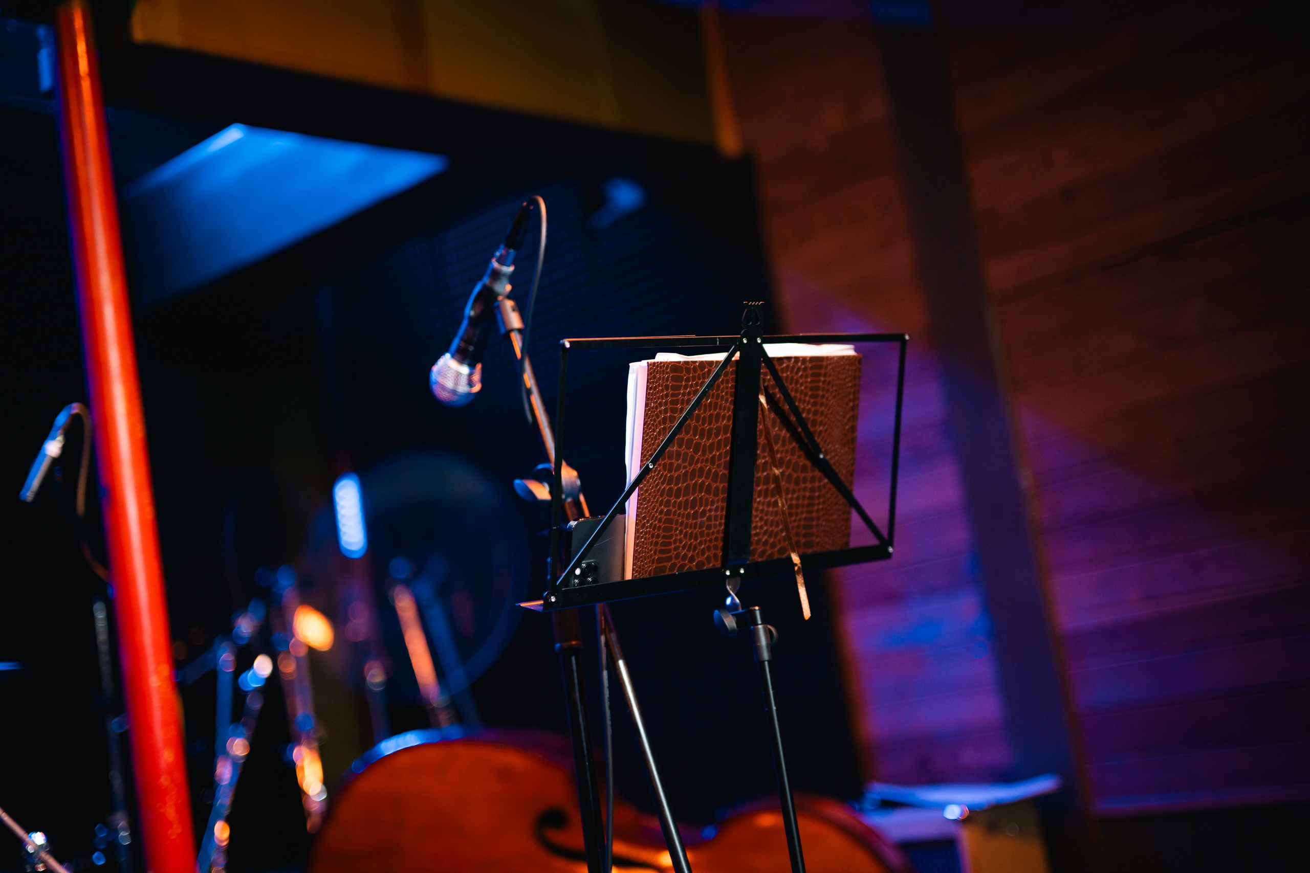 КОНЦЕРТЫ. Фотограф в Москве — Олег Штыканов