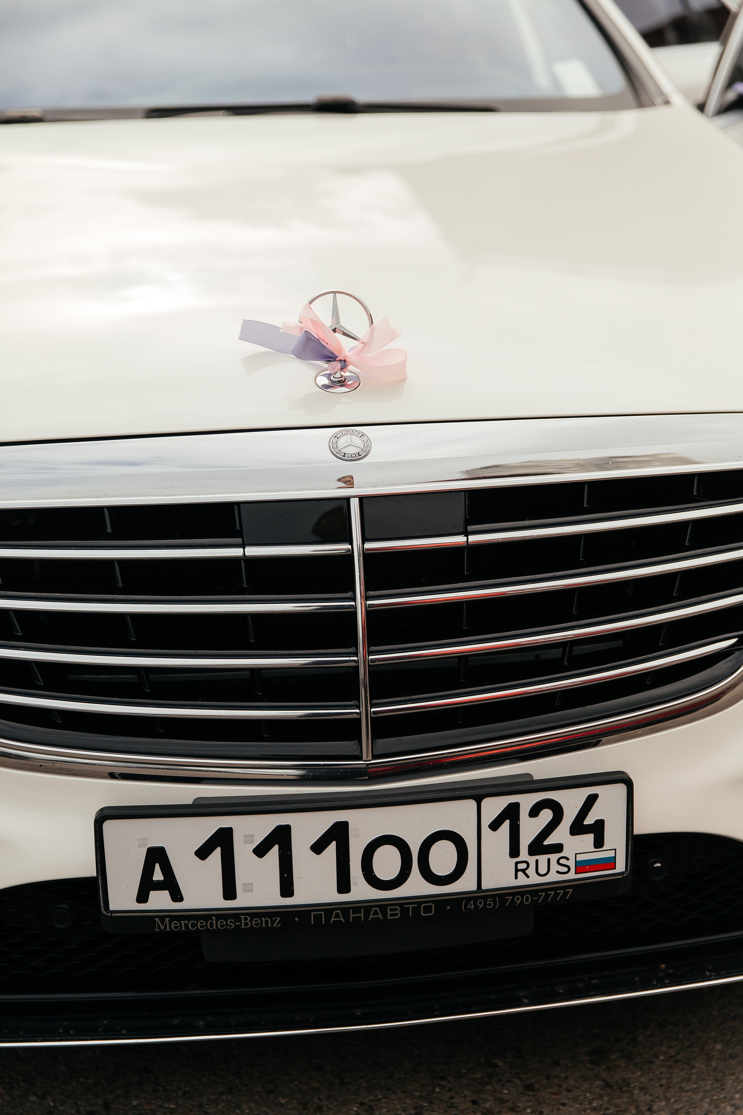 Сетрак и Марианна. Фотограф в Красноярске Надежда Воскресенская