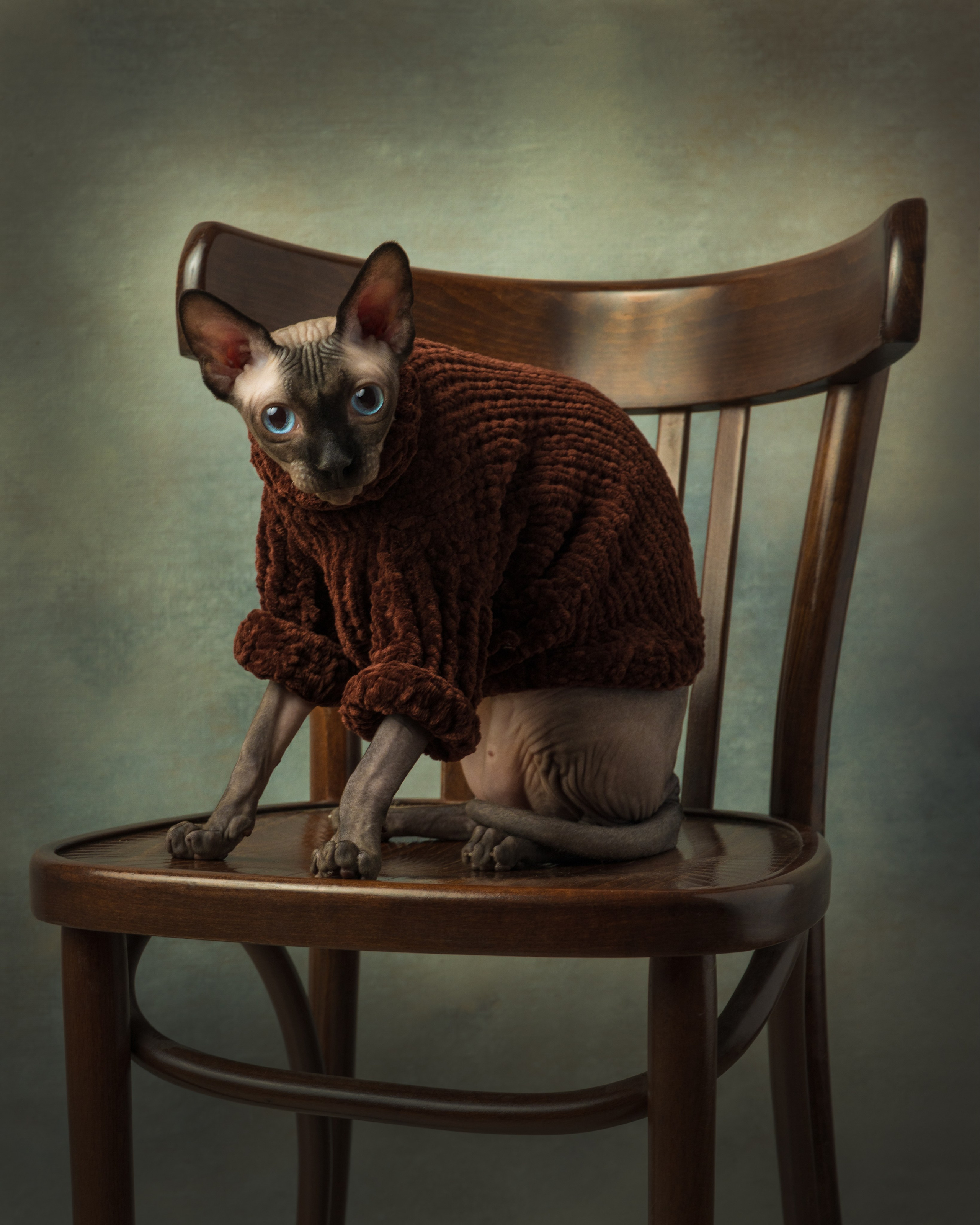 Фотонатюрморты. Савельева Ольга фотохудожник-портретист Москва