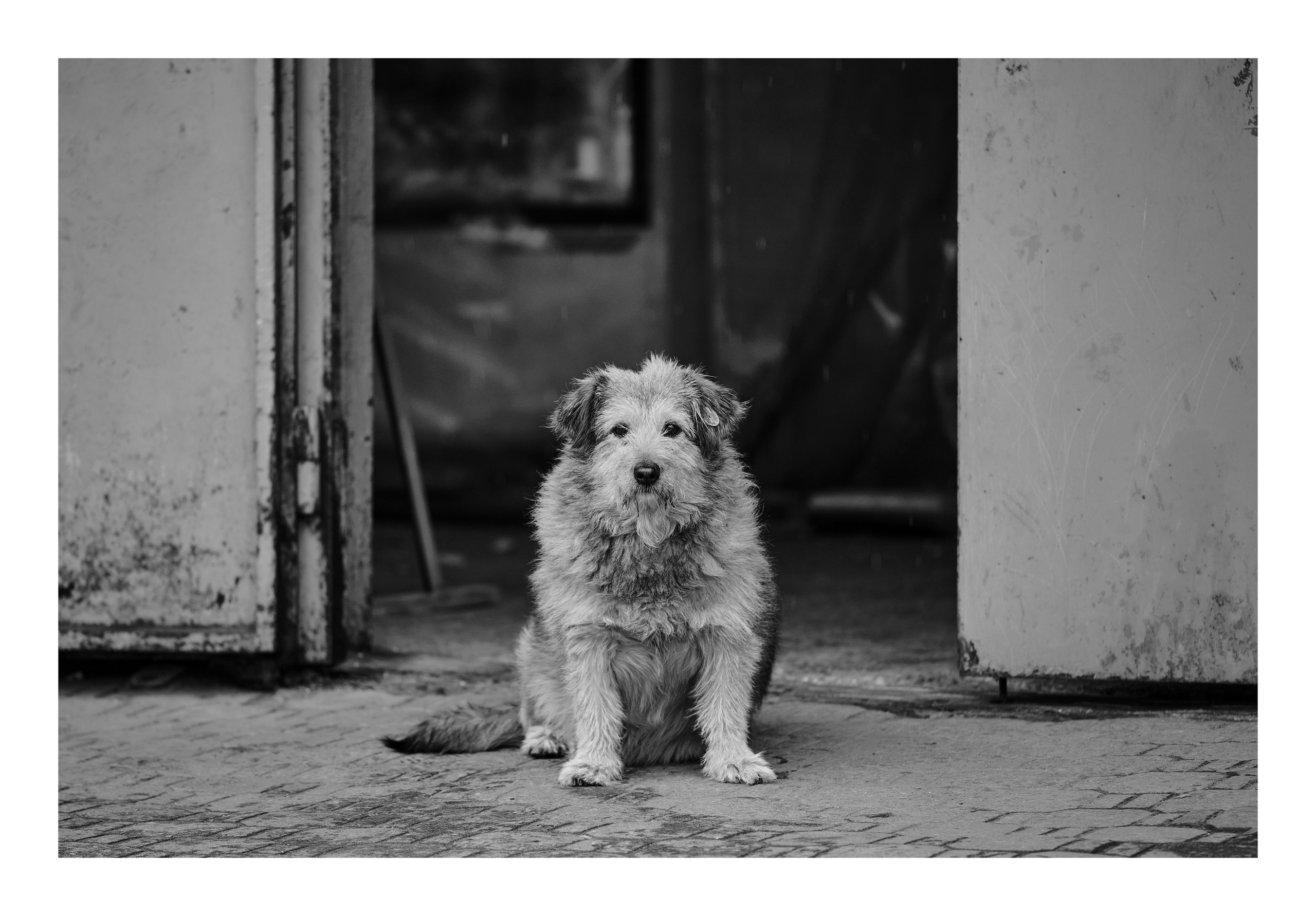 Фотопринты А3. Фотопроект «Территории»