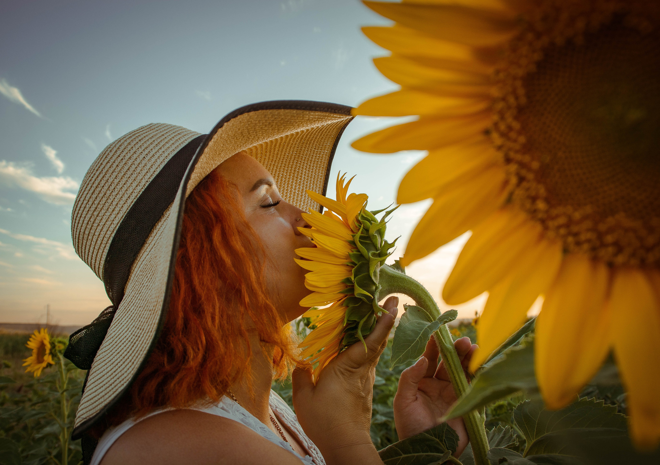 Подсолнухи. Елена Волкова семейный фотограф в станице Гостагаевской города-курорта Анапа