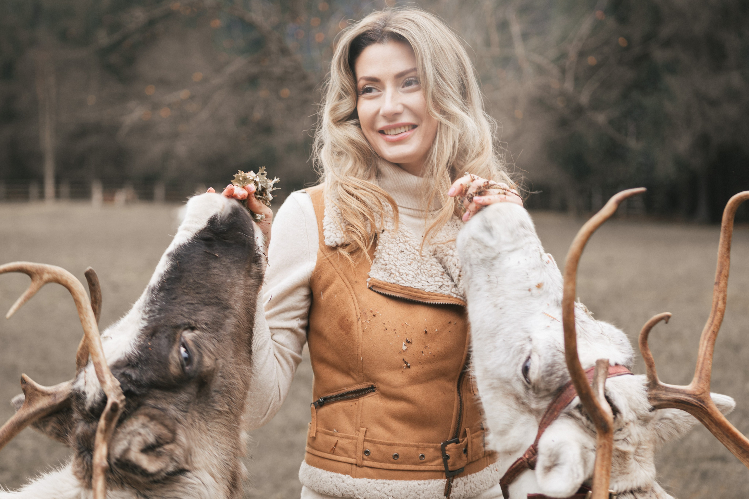 Экспресс с оленями. Свадебный и семейный фотограф Анастасия Багрец