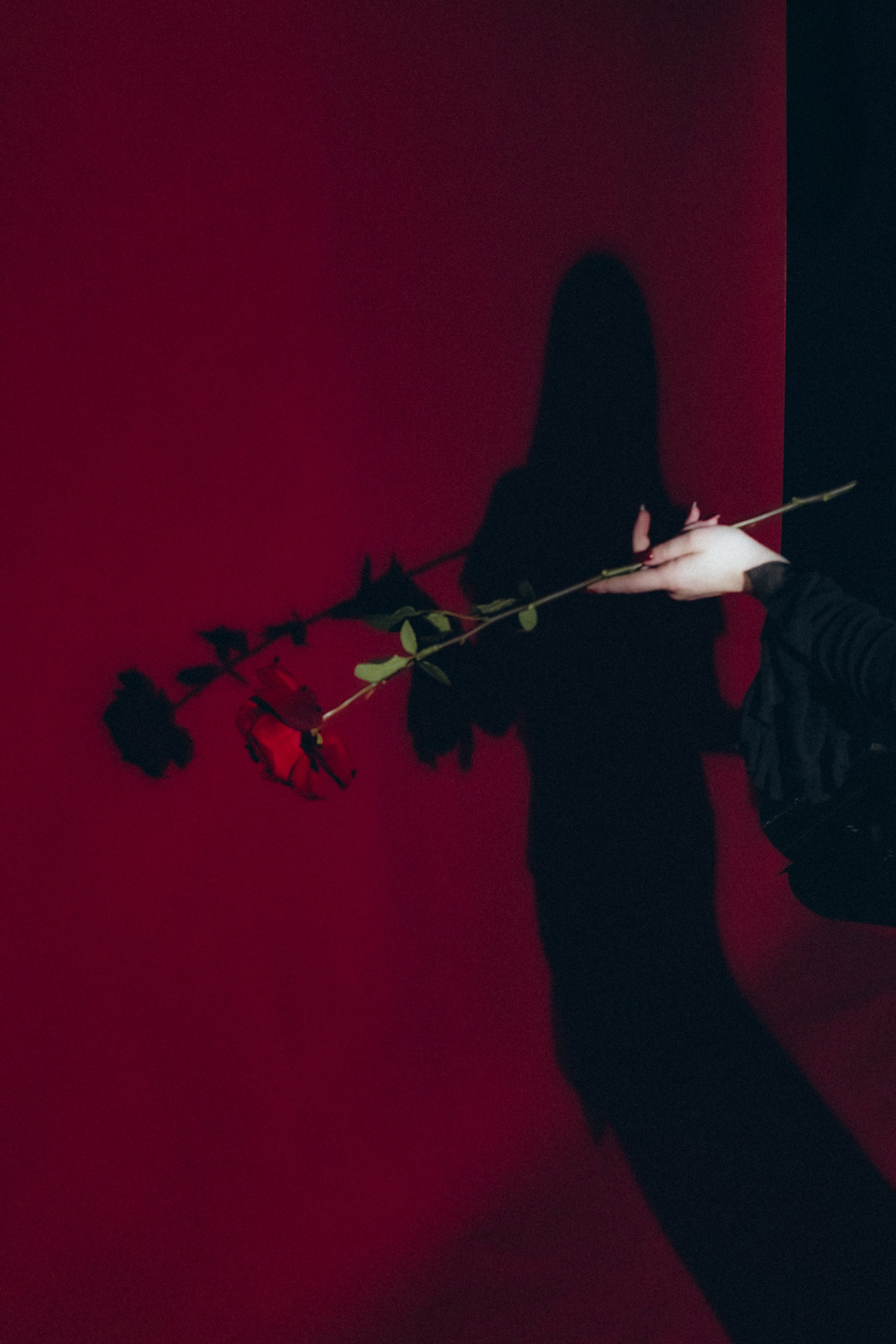 Мартиша Адамс. Фотограф из Хабаровска Юлия Черёмушкина