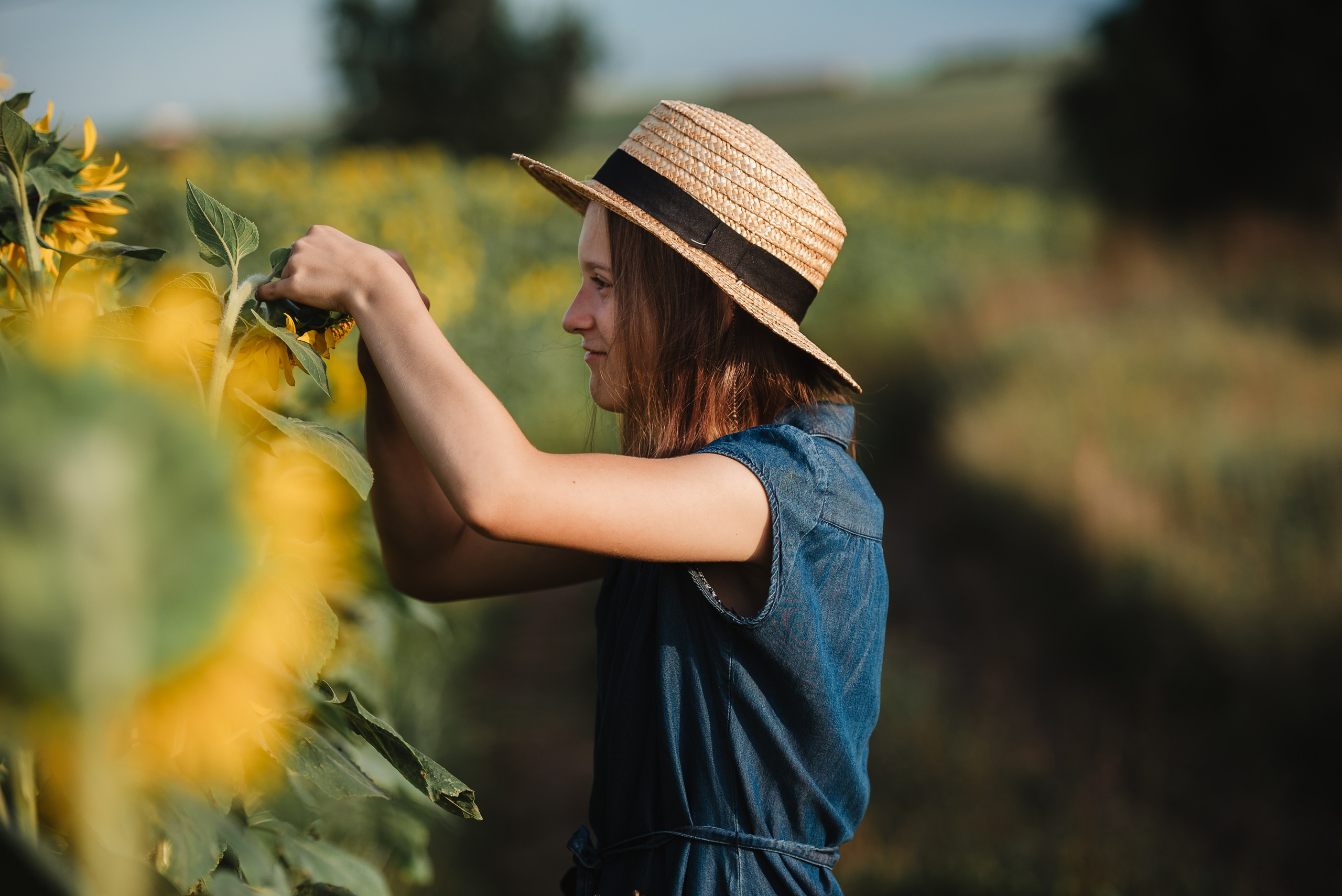 Прогулка в подсолнухах. Семейный Фотограф в Москве Ирина Хохлова