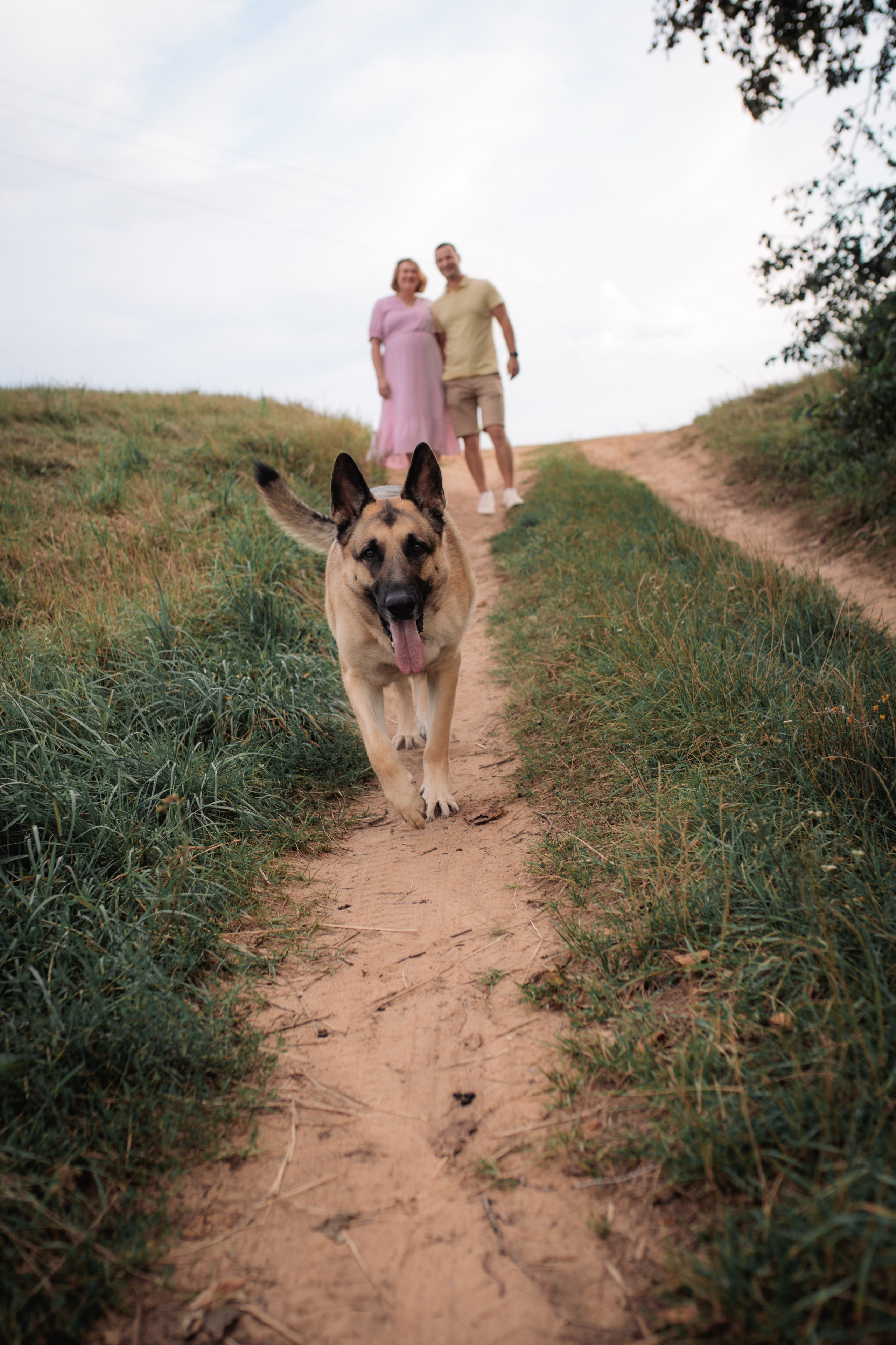Николай, Алёна и Сэм