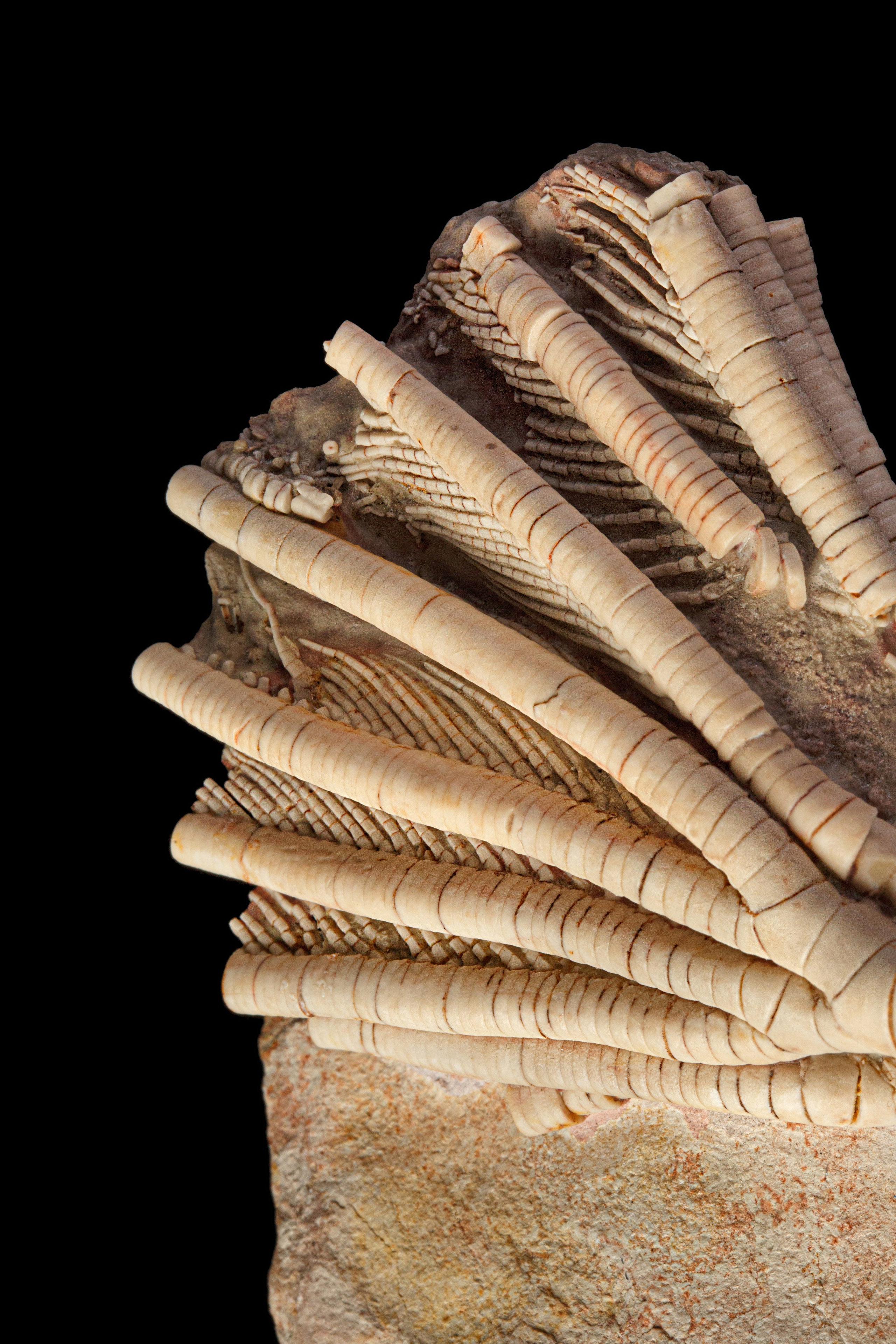 Профессиональная обработка натуральных камней, минералов и ископаемых | Студия SVITHART