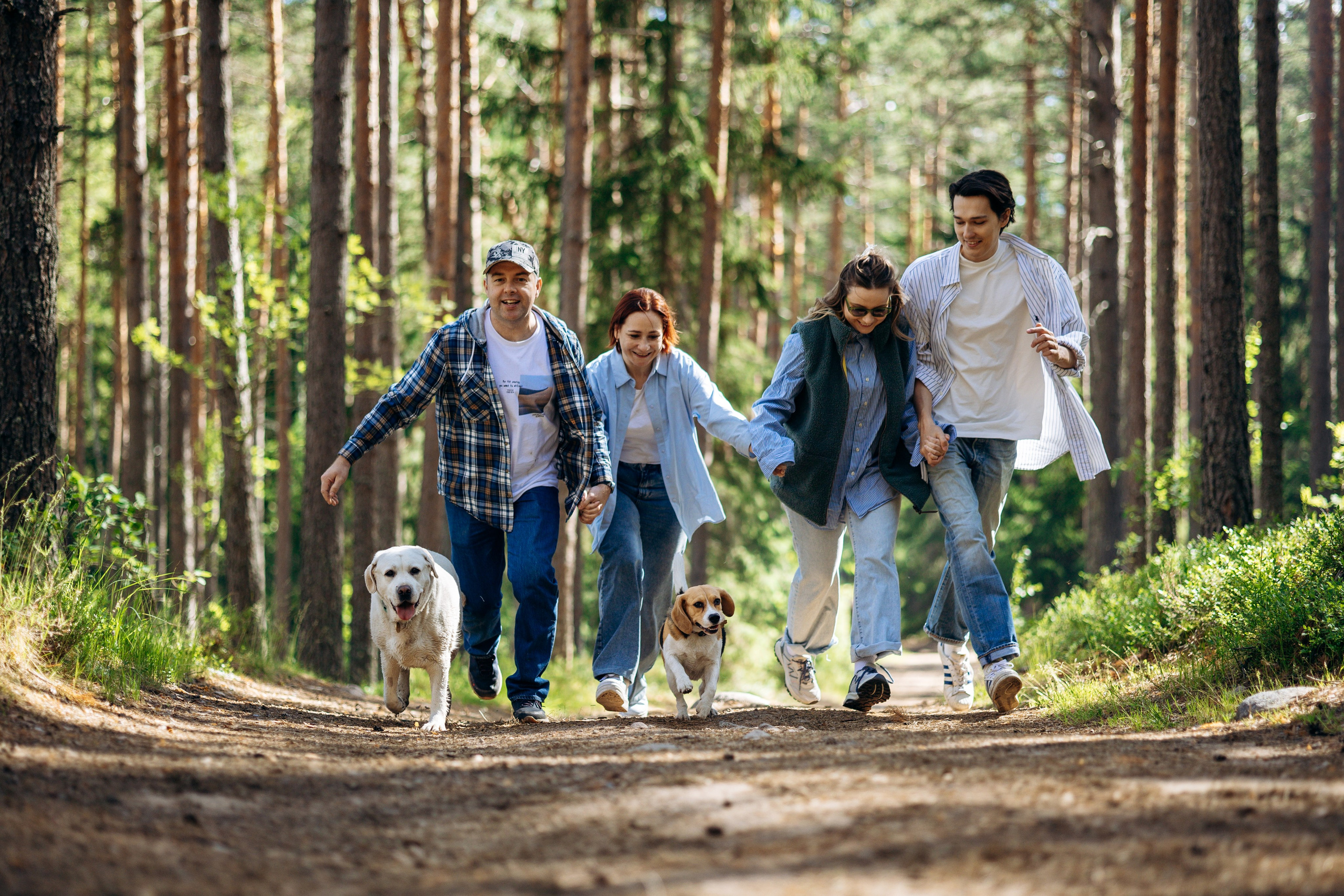 Котофеи и их семья. Фотограф — Анималист | Санкт-Петербург