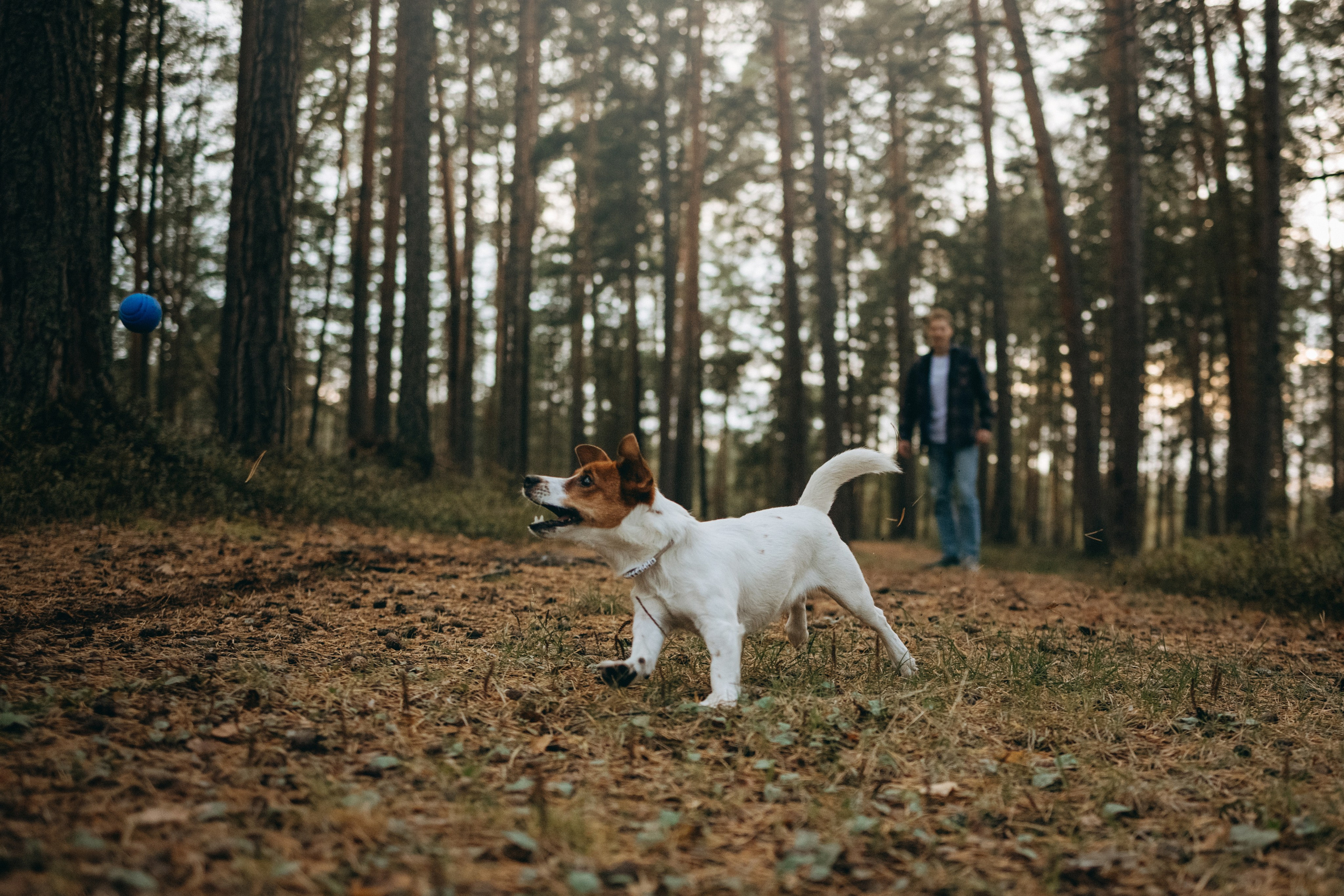 Лея и ее семья. Фотограф — Анималист | Санкт-Петербург