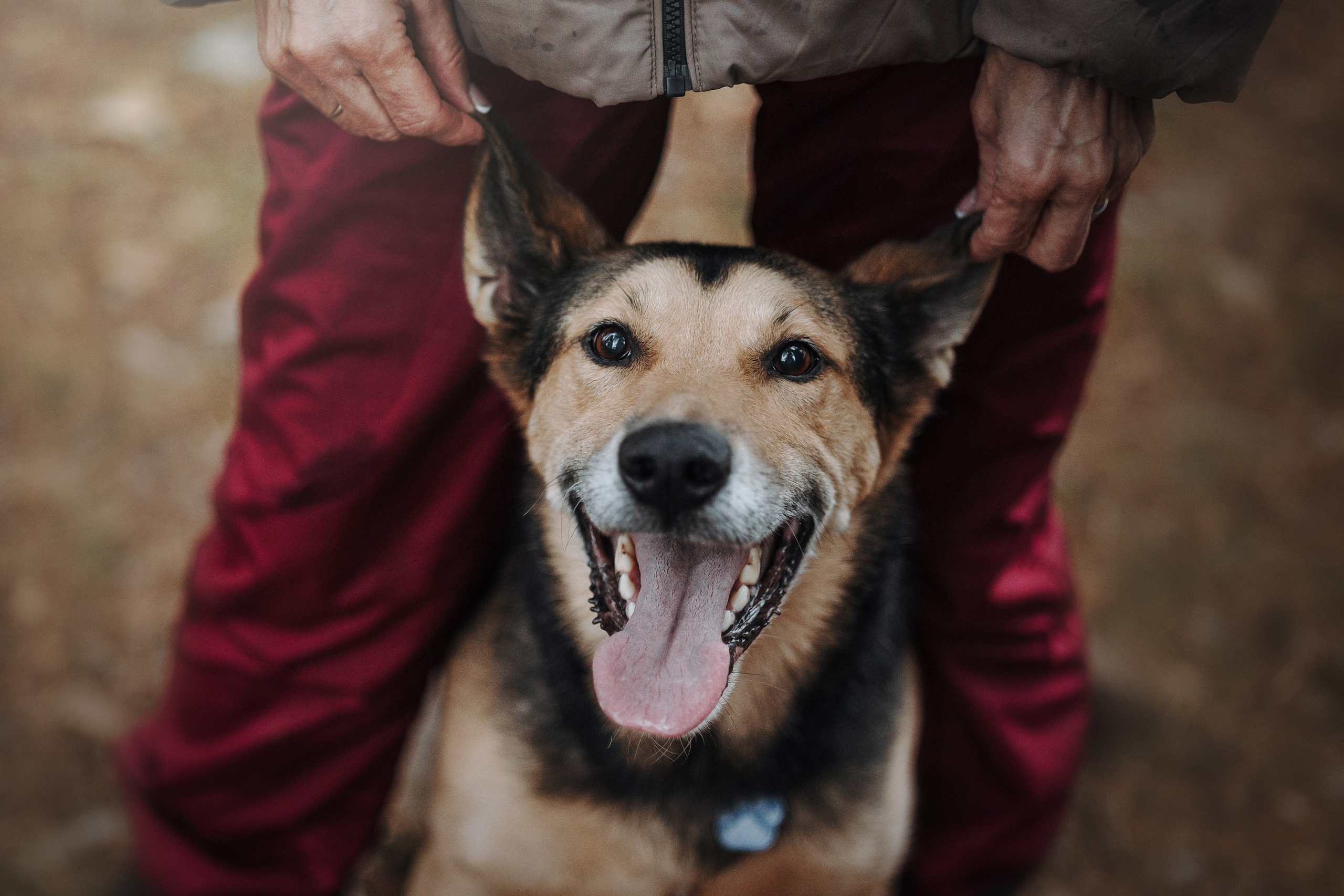 Наталья и Того. Фотограф — Анималист | Санкт-Петербург