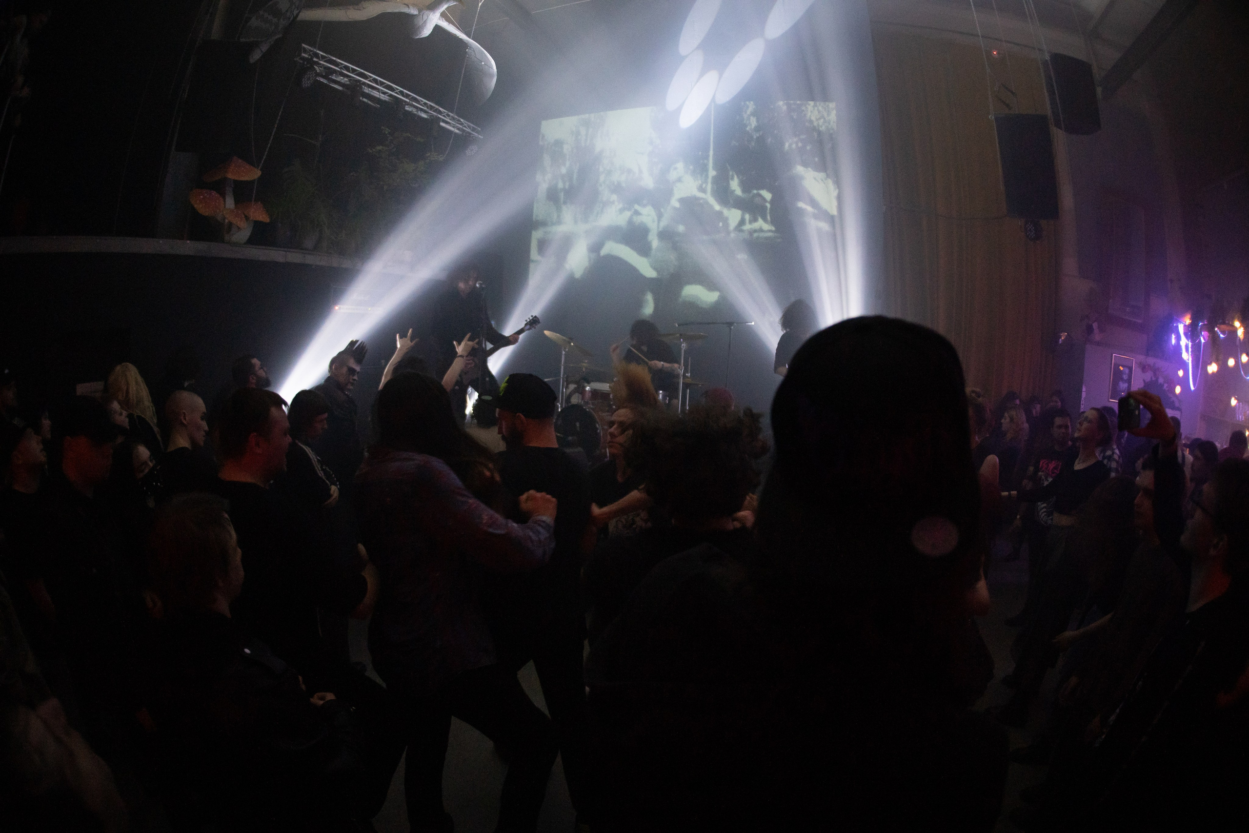 Шторм|Ласточка. Концертный и репортажный фотограф в Санкт-Петербурге Слава Пахомов