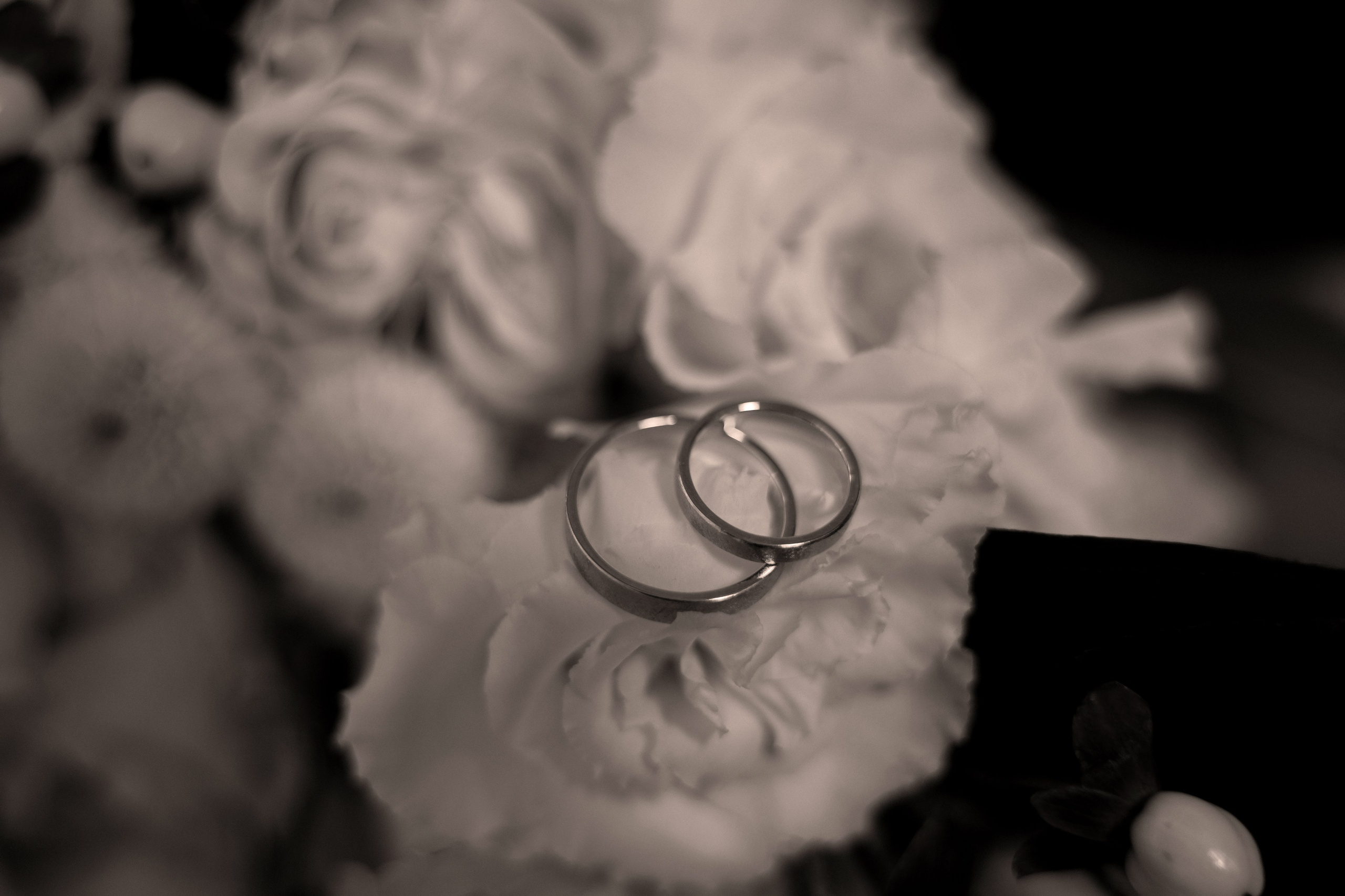 Роман и Алина (выездная регистрация). Фотограф Краснодар