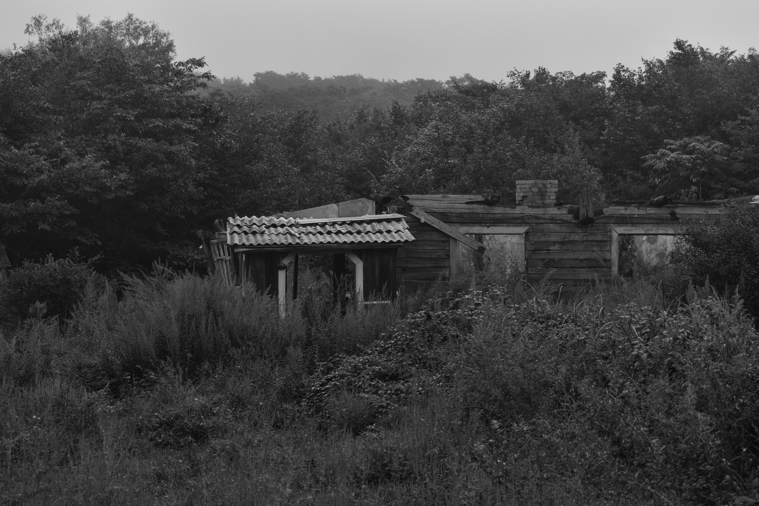 Abandoned. Портретный фотограф во Владивостоке Елена Шкурко