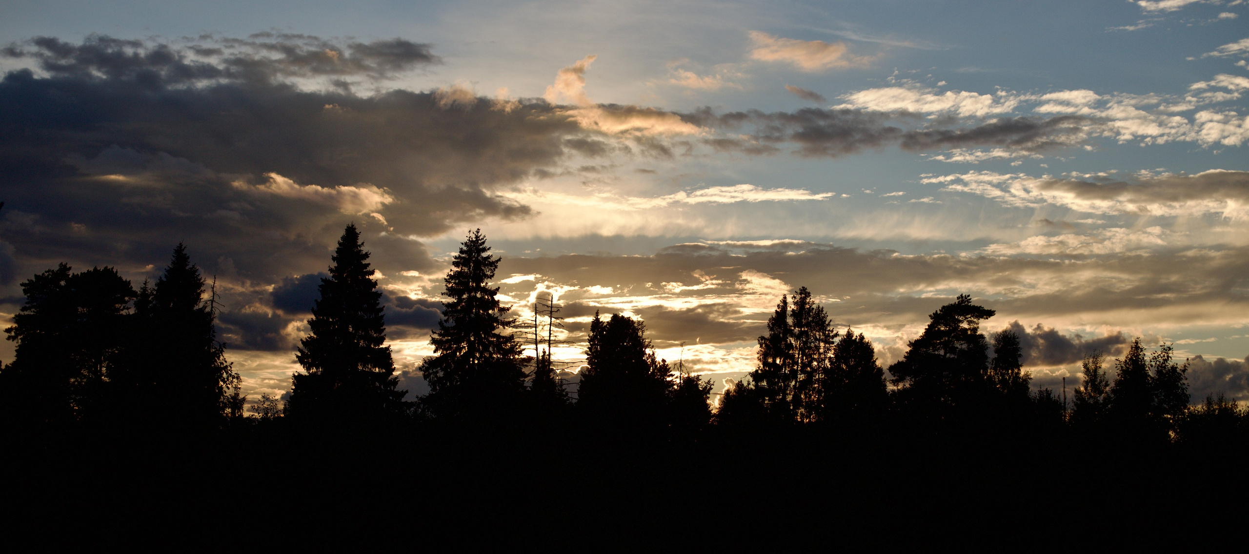 Чудесная природа. Школьные выпускные альбомы в Москве Марина Николаева