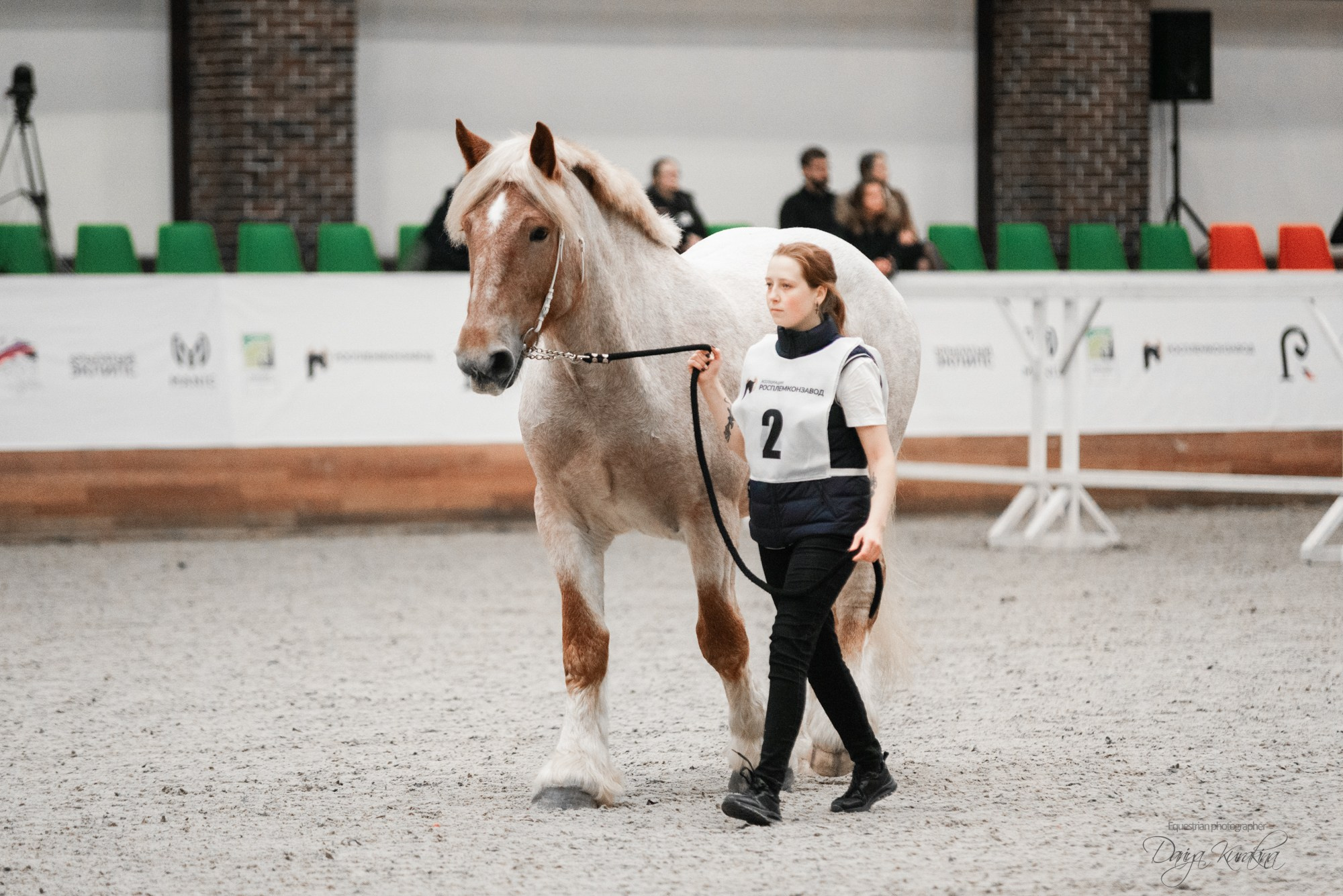 8-я международная выставка Конная Россия. Конный фотограф Куракина Дарья • Фотосессии с лошадьми