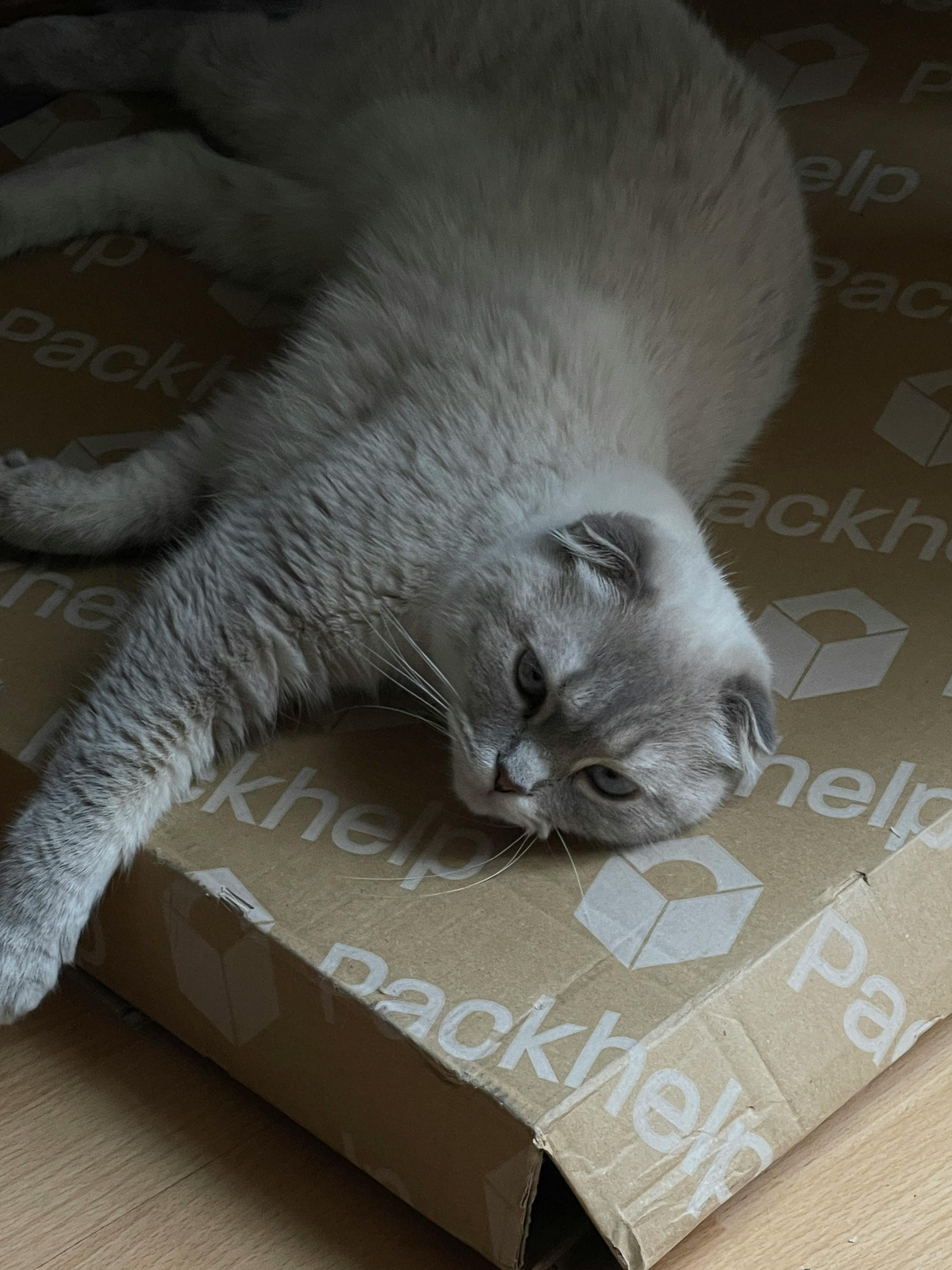 Свадьбы. Фото и видеосъемка в Алматы