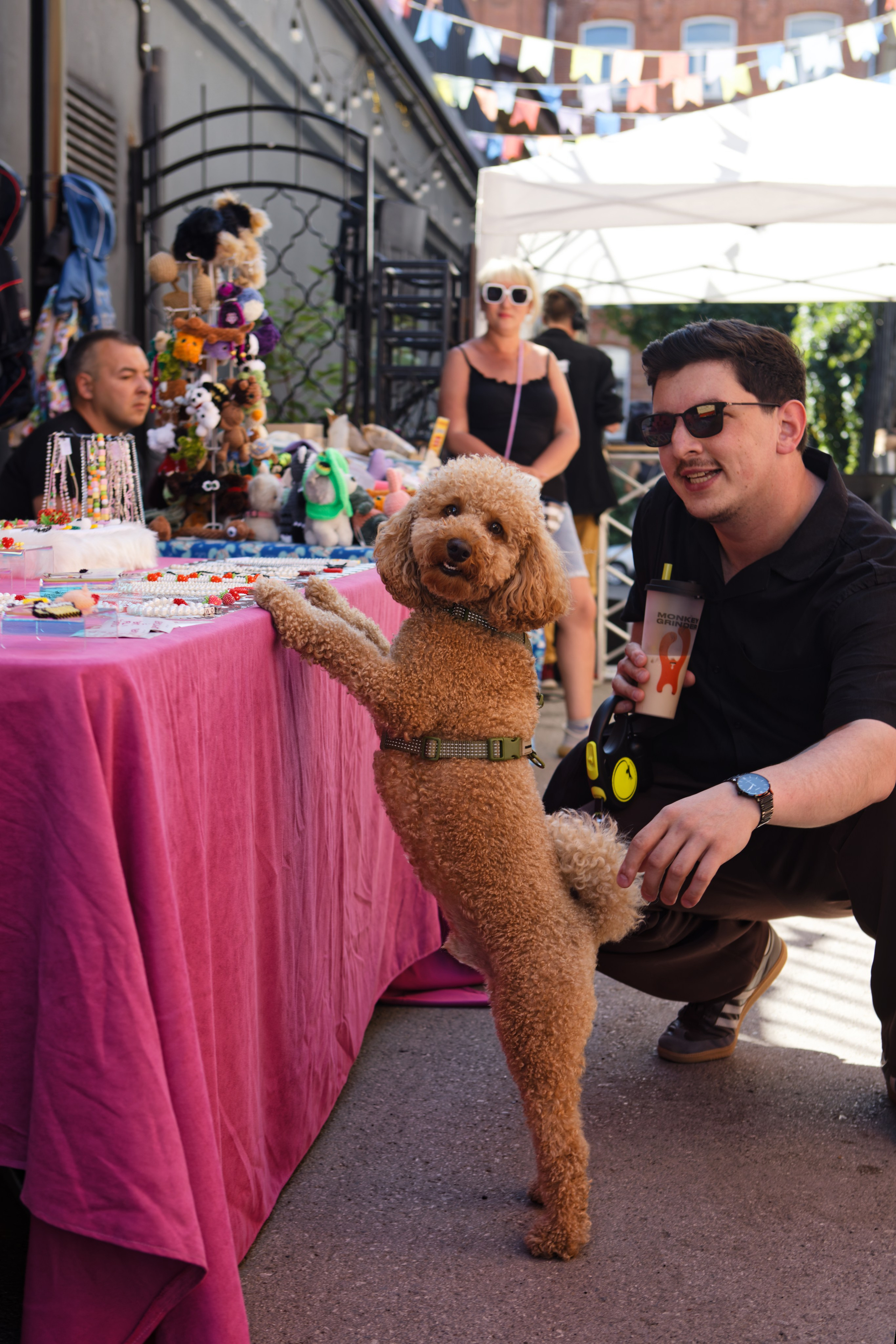 Вечеринка для собак Oh my dog 20.07.2025. Репортажный и спортивный фотограф в г. Пермь Зильберг Павел