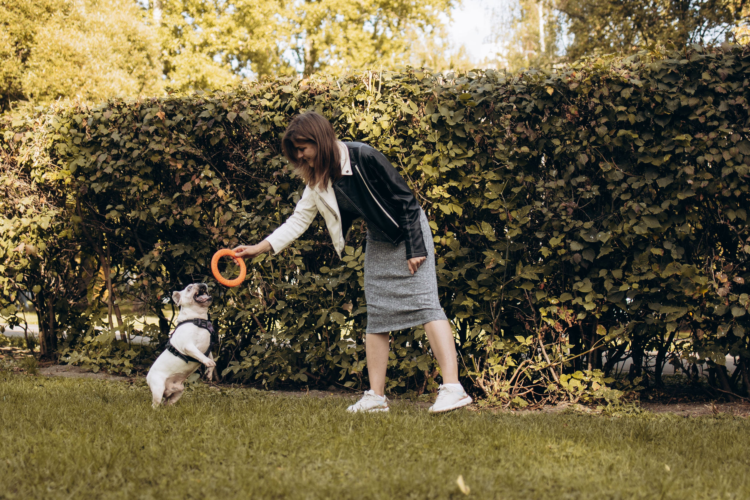 Оля и бульдоги