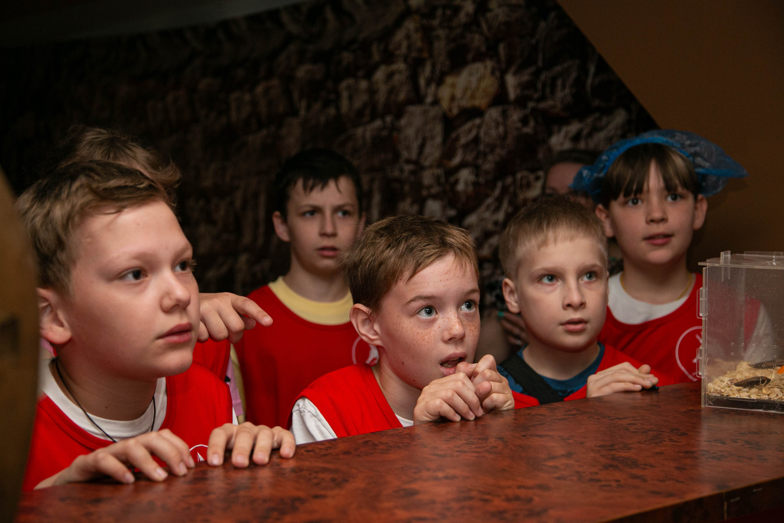 Квест Fort Grad 1 сезон. Репортажный фотограф в Пскове