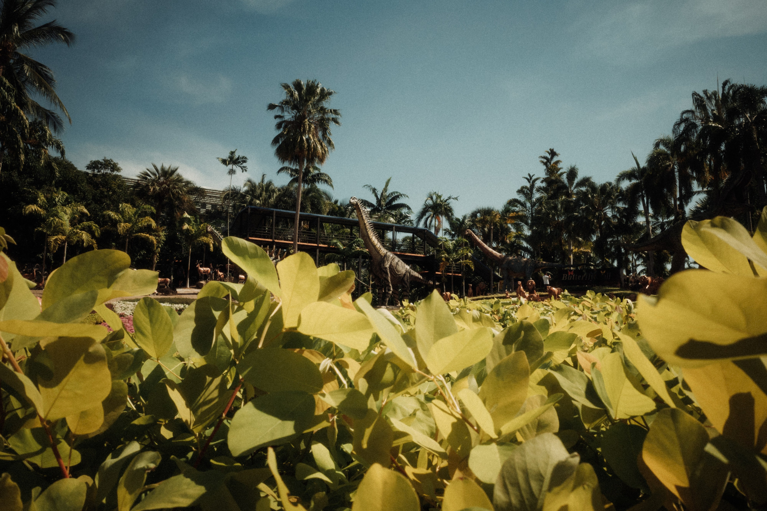 Тайланд плёнка. Свадебный фотограф в Спб Сергей Баланян